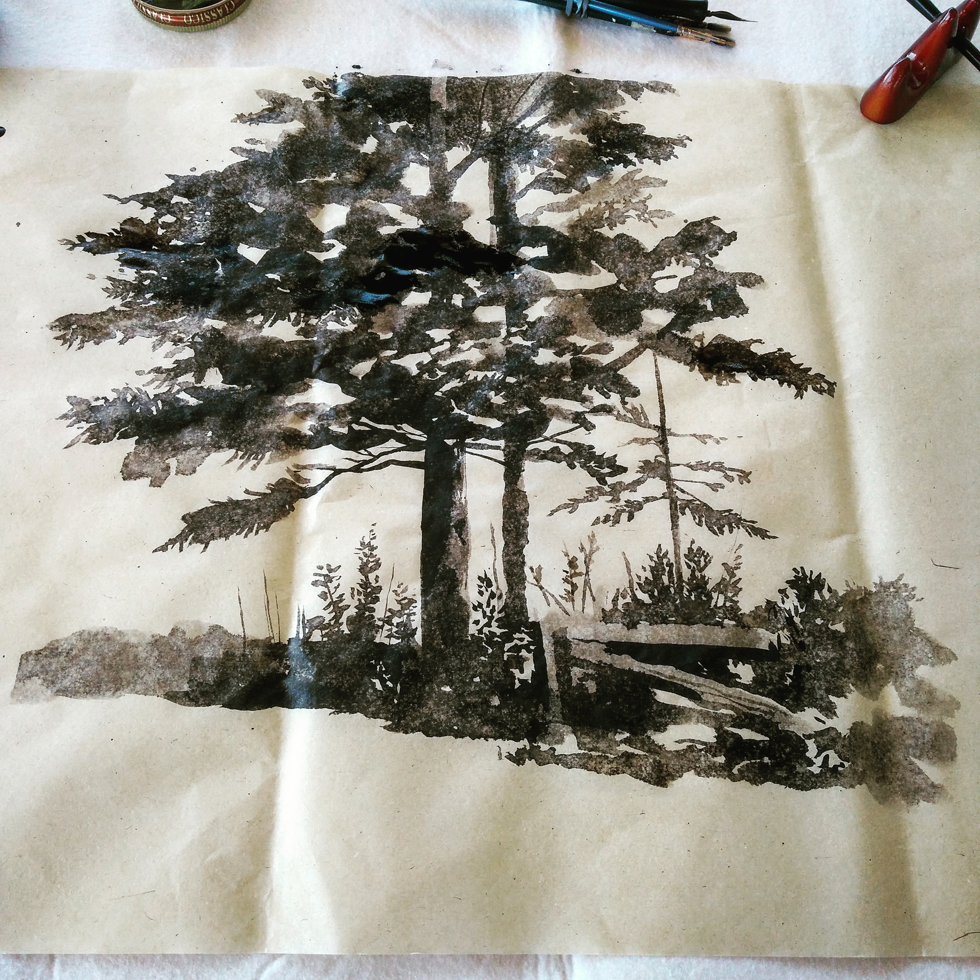 Trees of my Neighborhood
