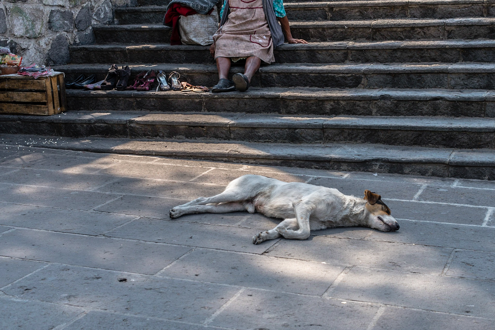 Resting outside the Temple of Saint Francis of Assisi.