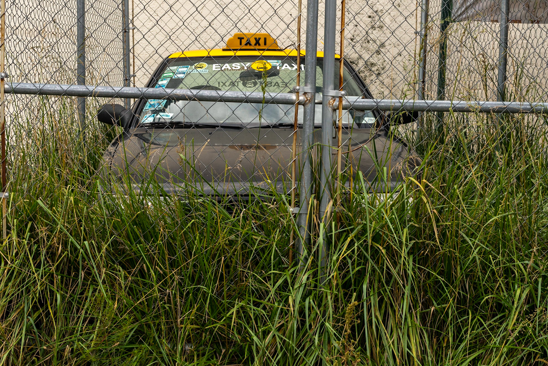 Jungle Taxi