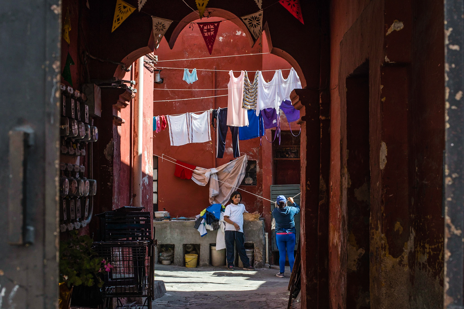 You do the laundry. I pet the cat