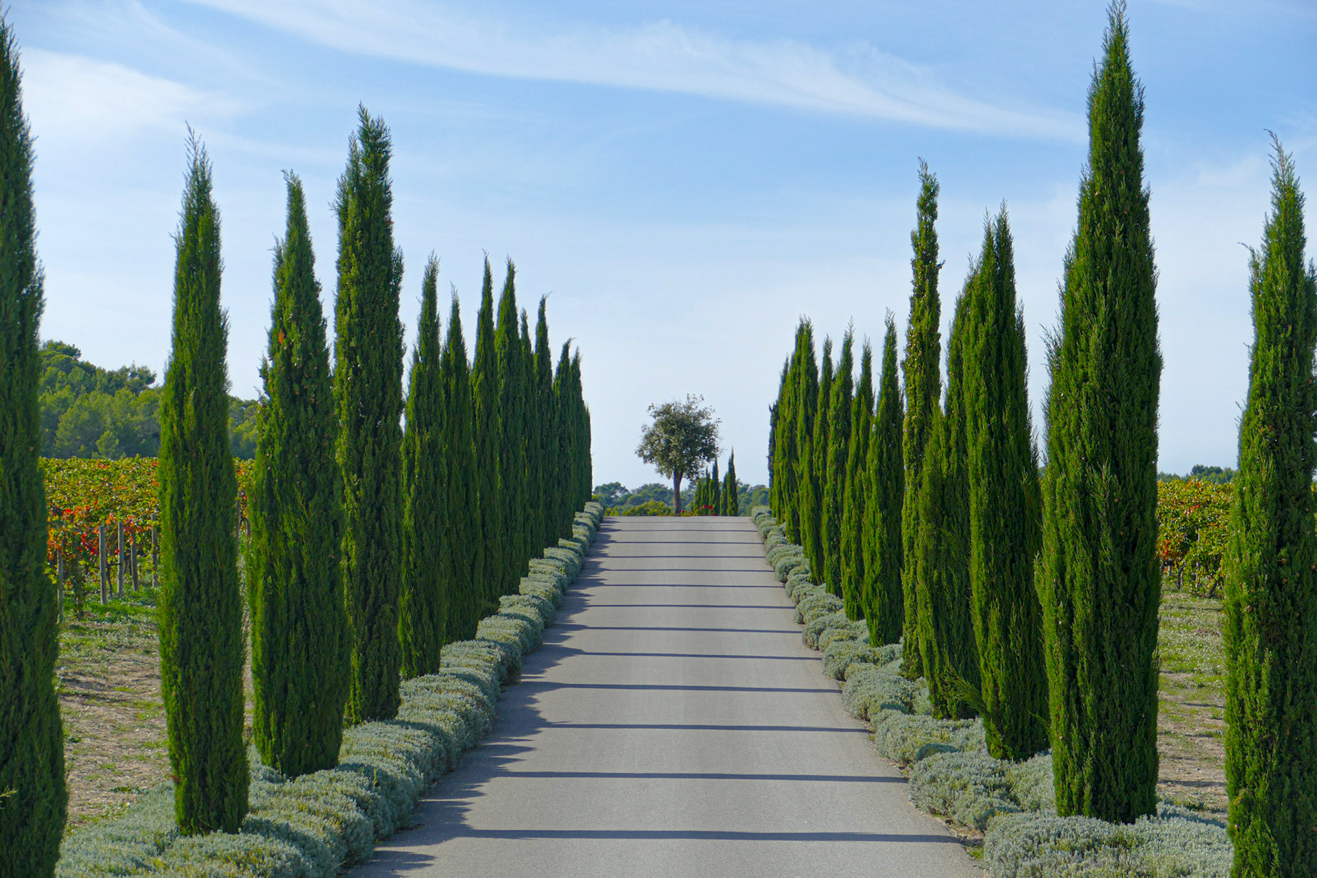 Villa La Coste, Provence