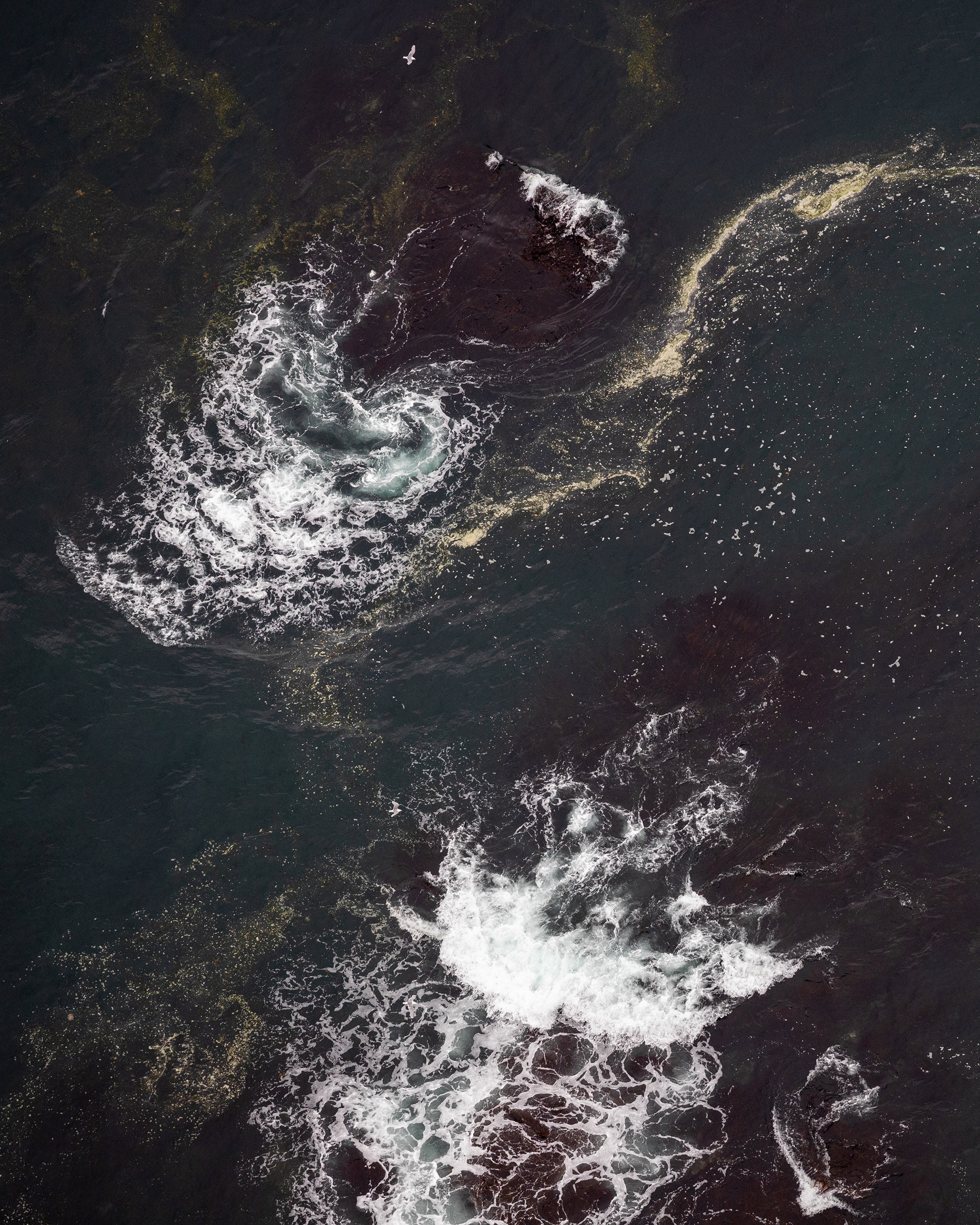 Seafoam swirl in Hornstrandir