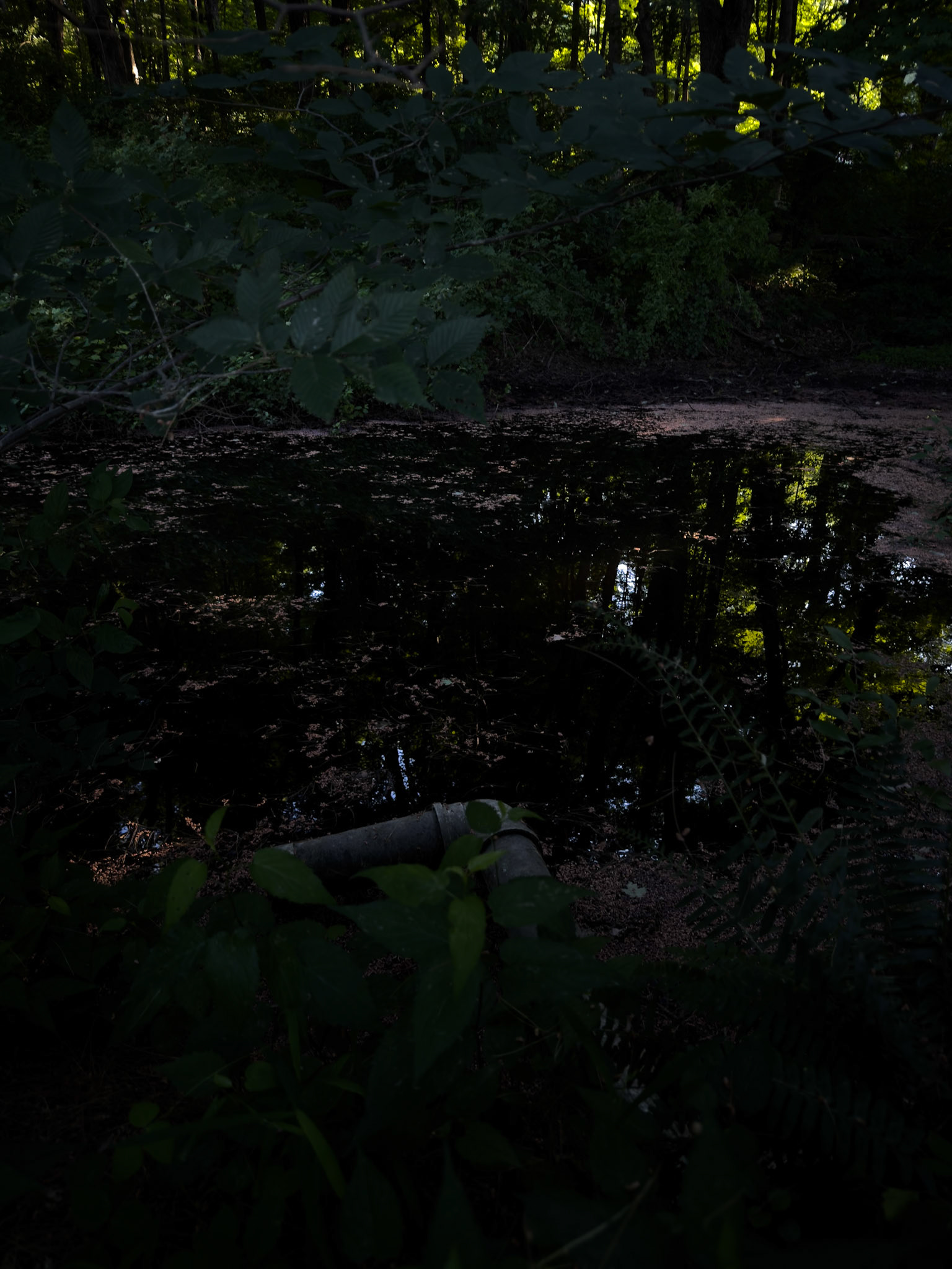 Submerged Echoes