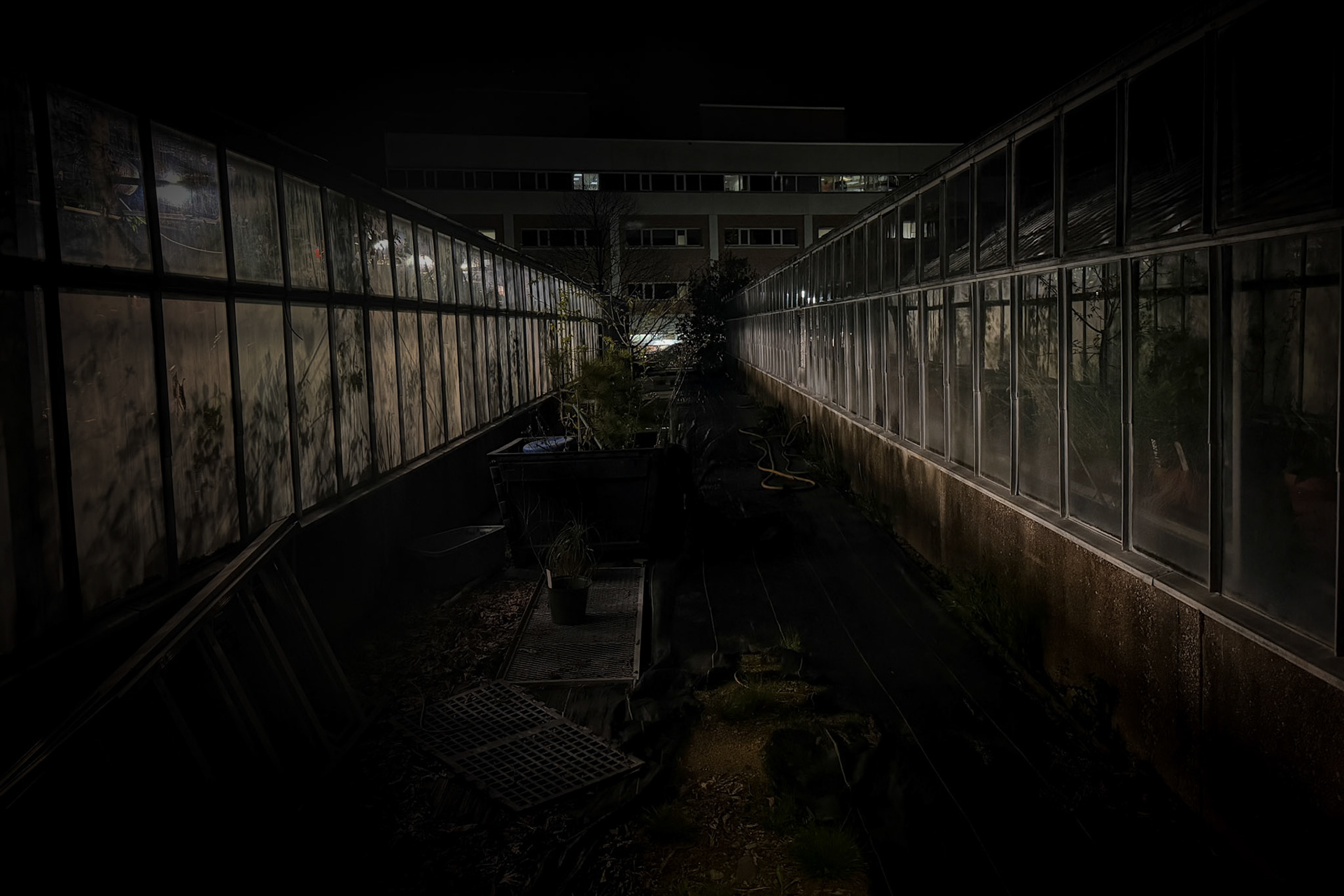 Darkness Converges Between Greenhouses