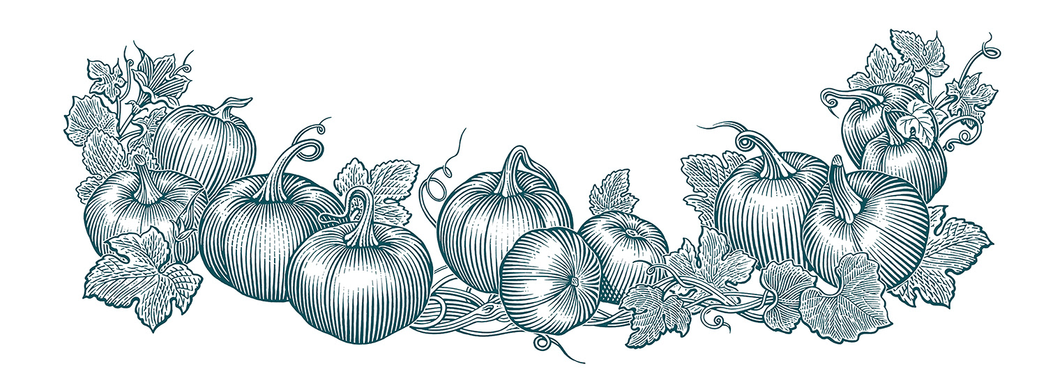 pumpkins, pumpkin line art, pumpkin scratchboard