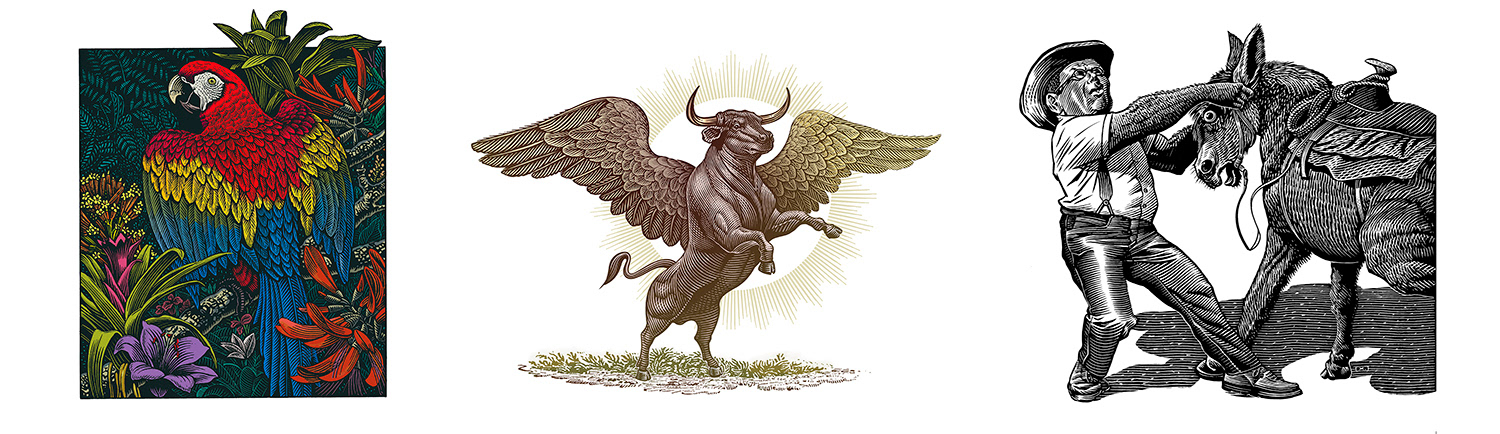 parrot, bull, bull with wings, mule