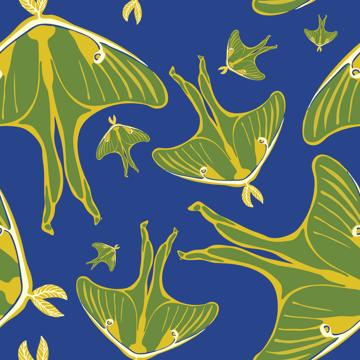 Luna Moth