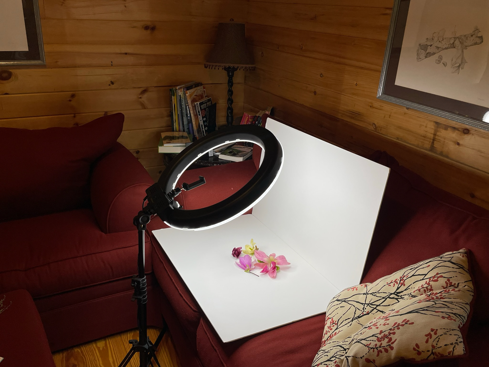 How I take photos of my subjects