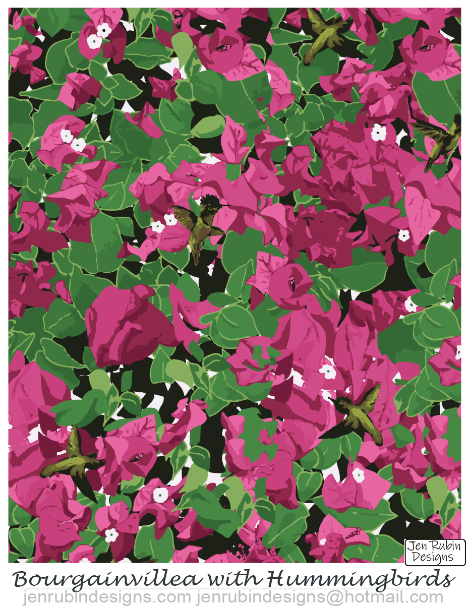 Bougainvillea and Hummingbirds