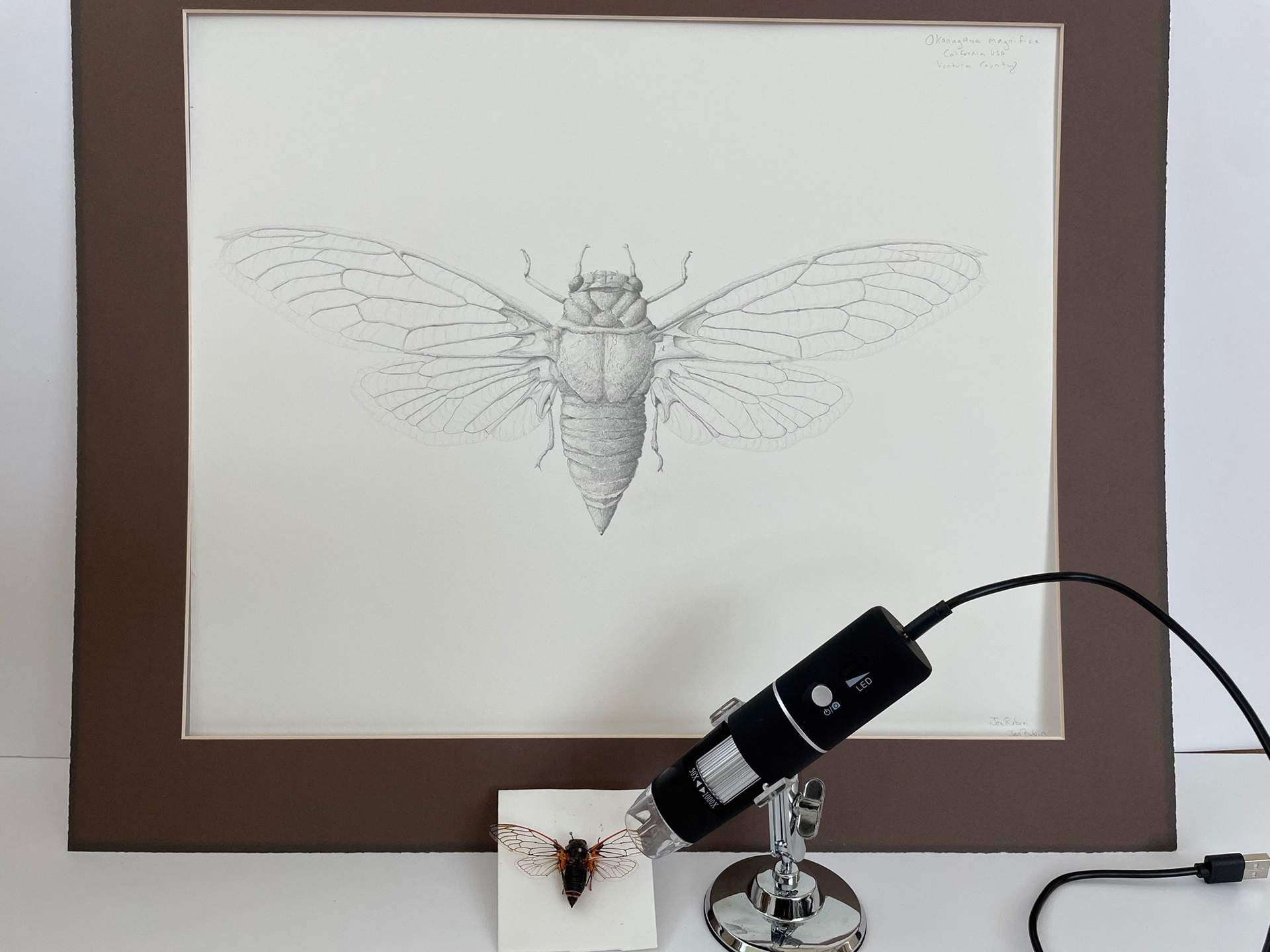 Microscope used for getting those details.
