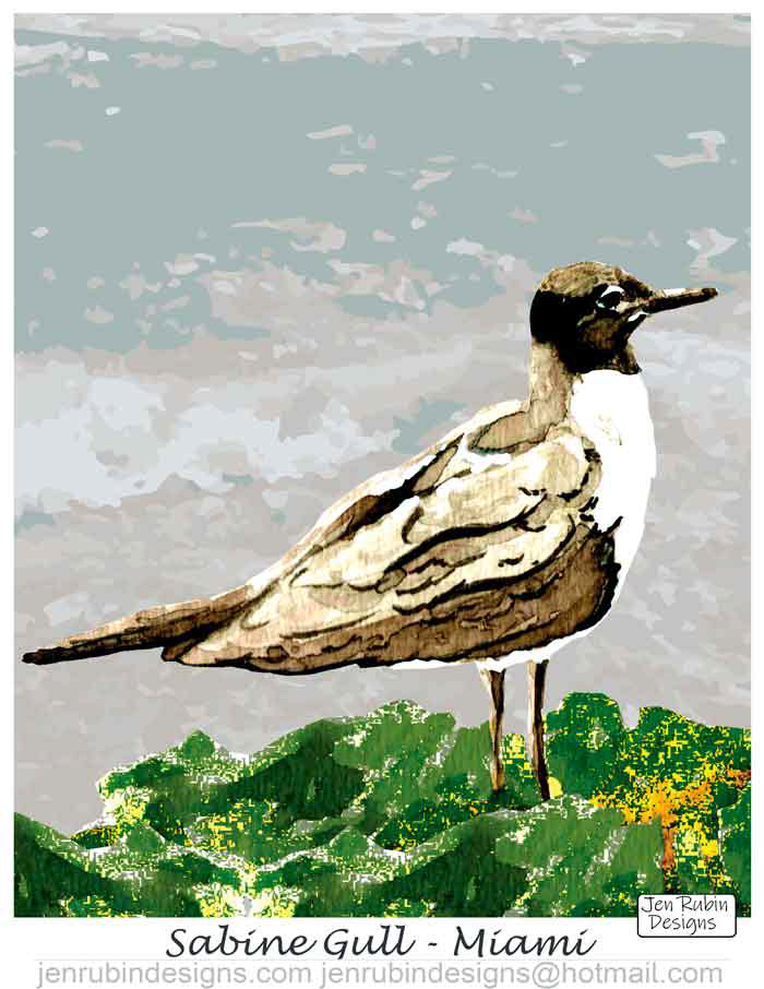 Sabine Gull - Watercolor and Digital