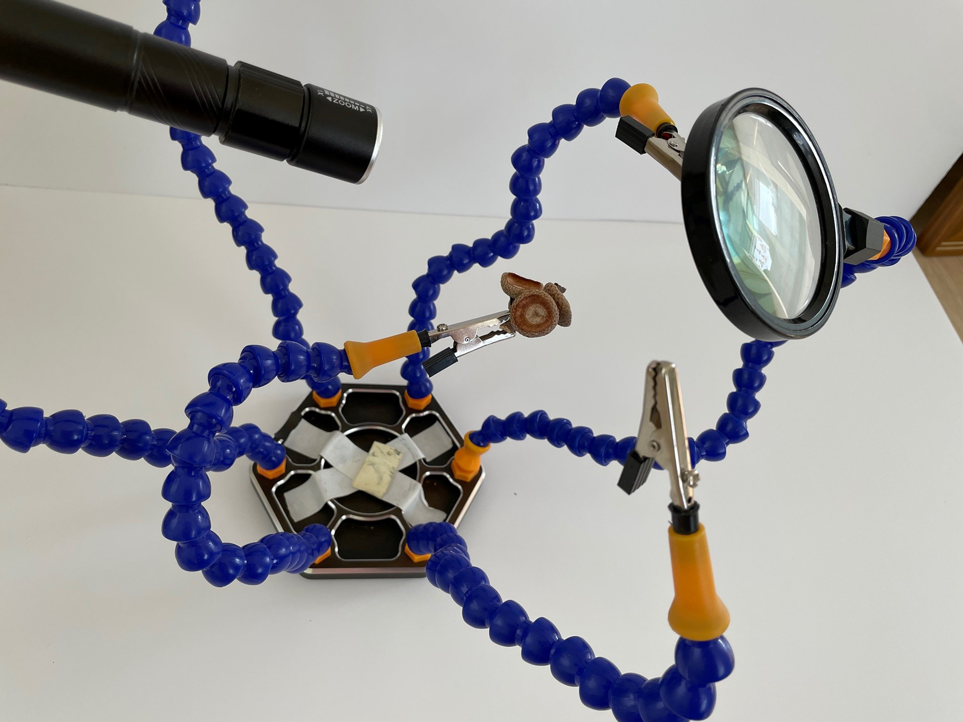 Looks crazy, but awesome tool to hold a subject in place.