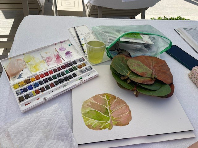 I love to paint anywhere and everywhere. Traditionally or digitally!