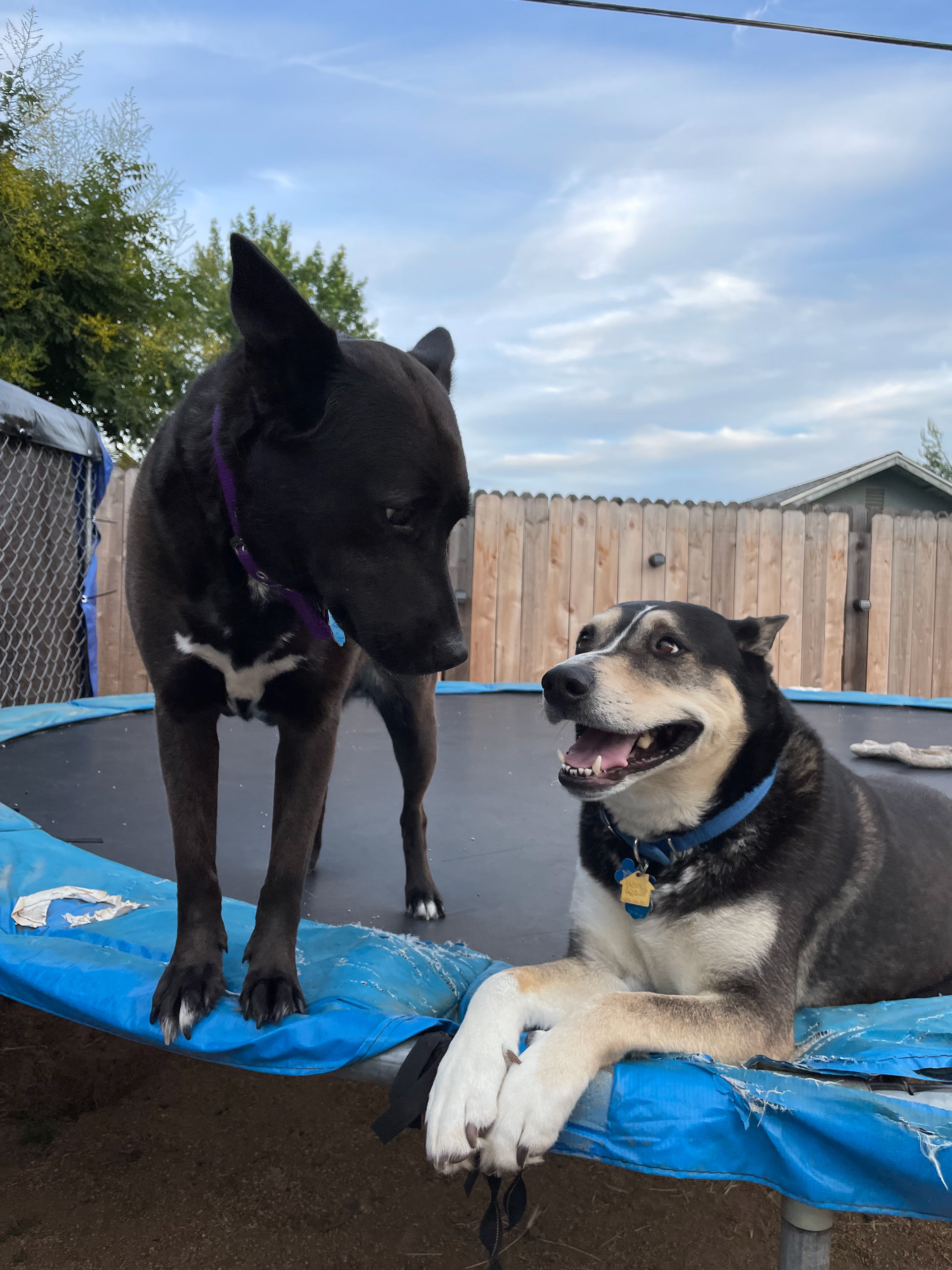 Zina and Zeus