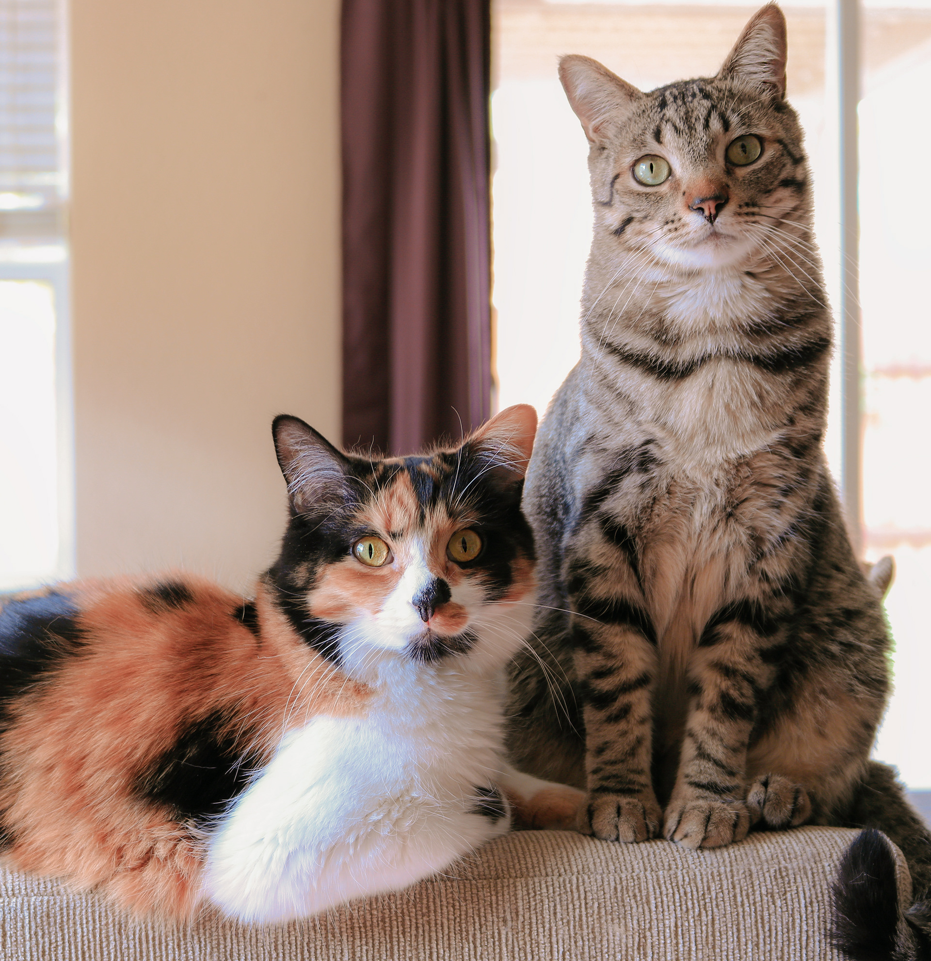 Cali & Jake