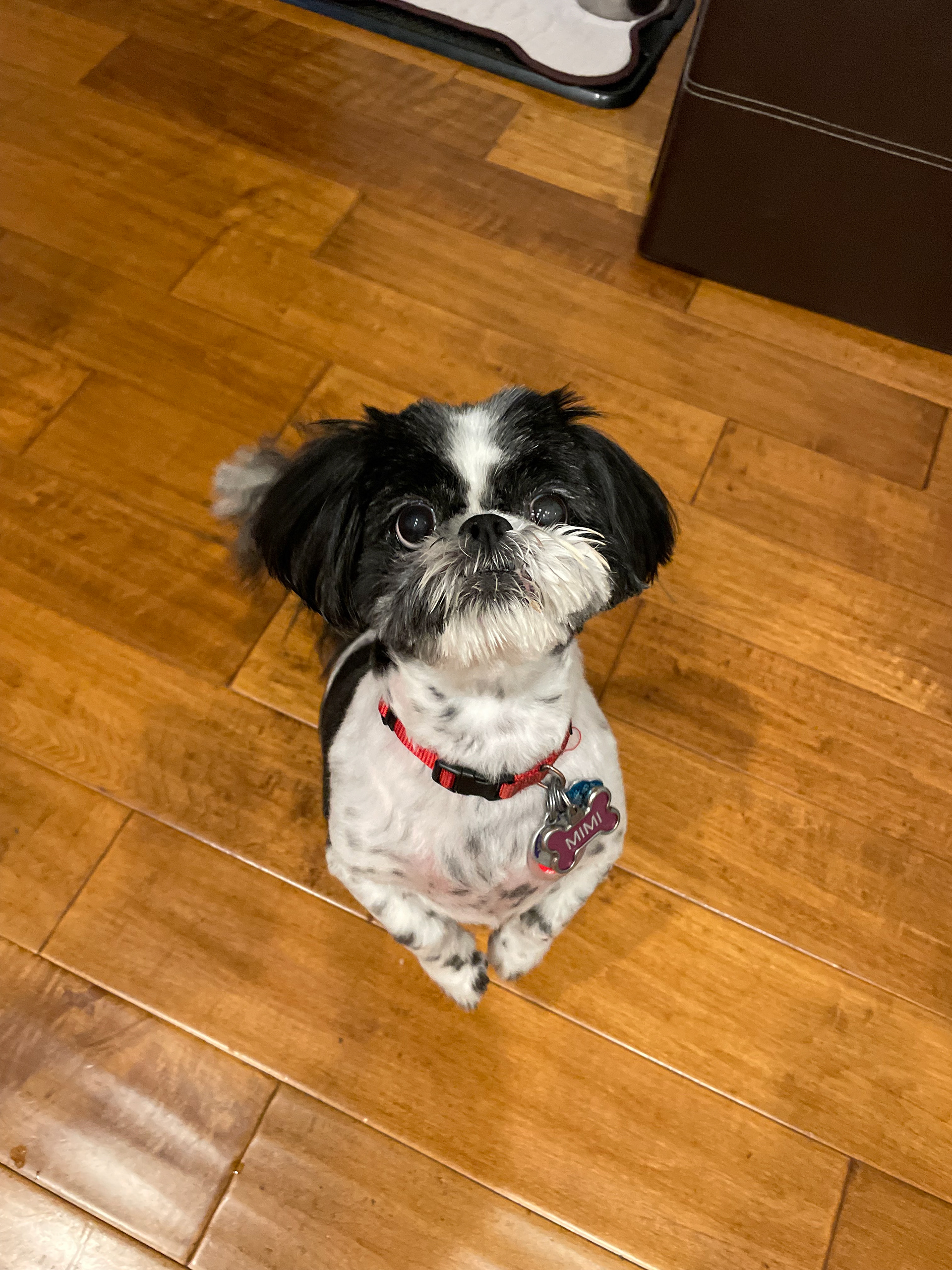 Mimi