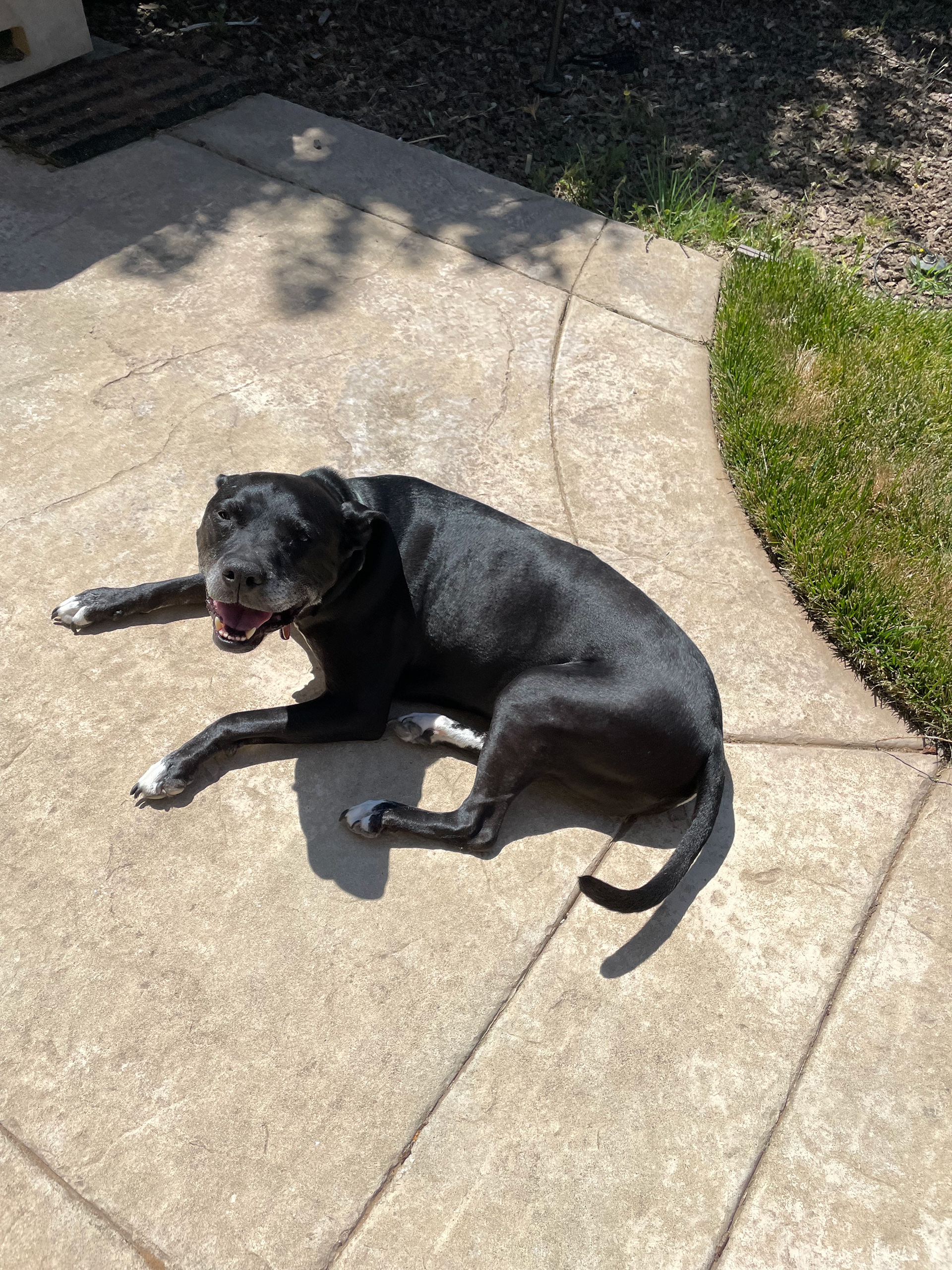 Max
