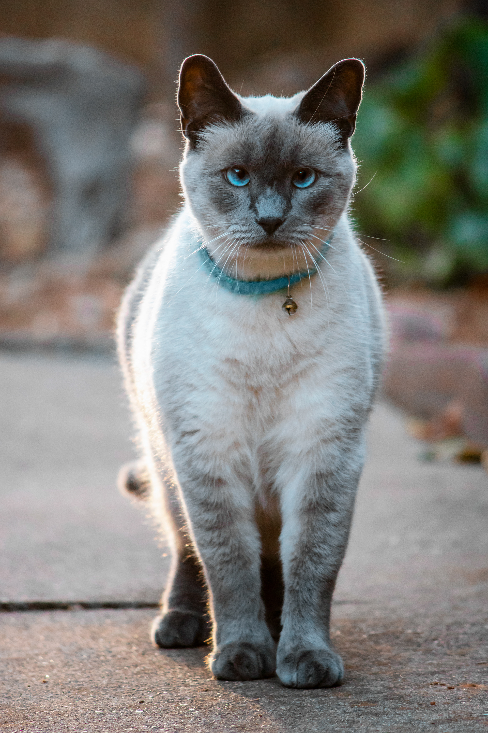 Pablo