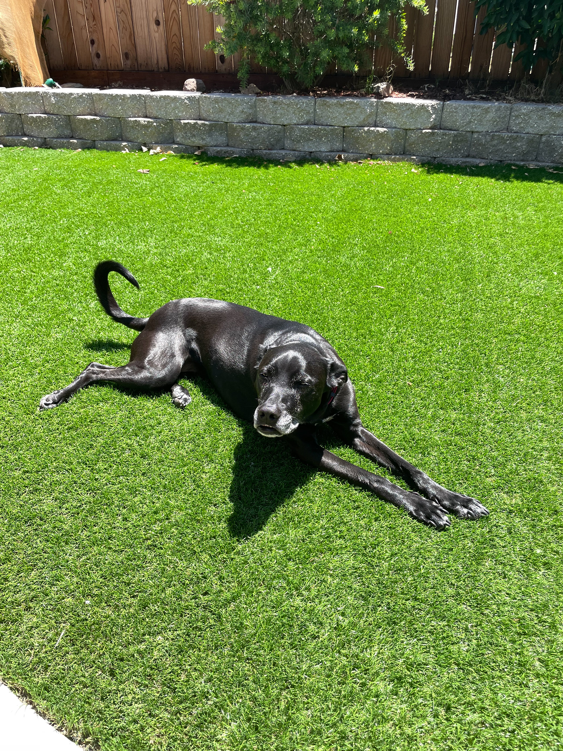 Gabby