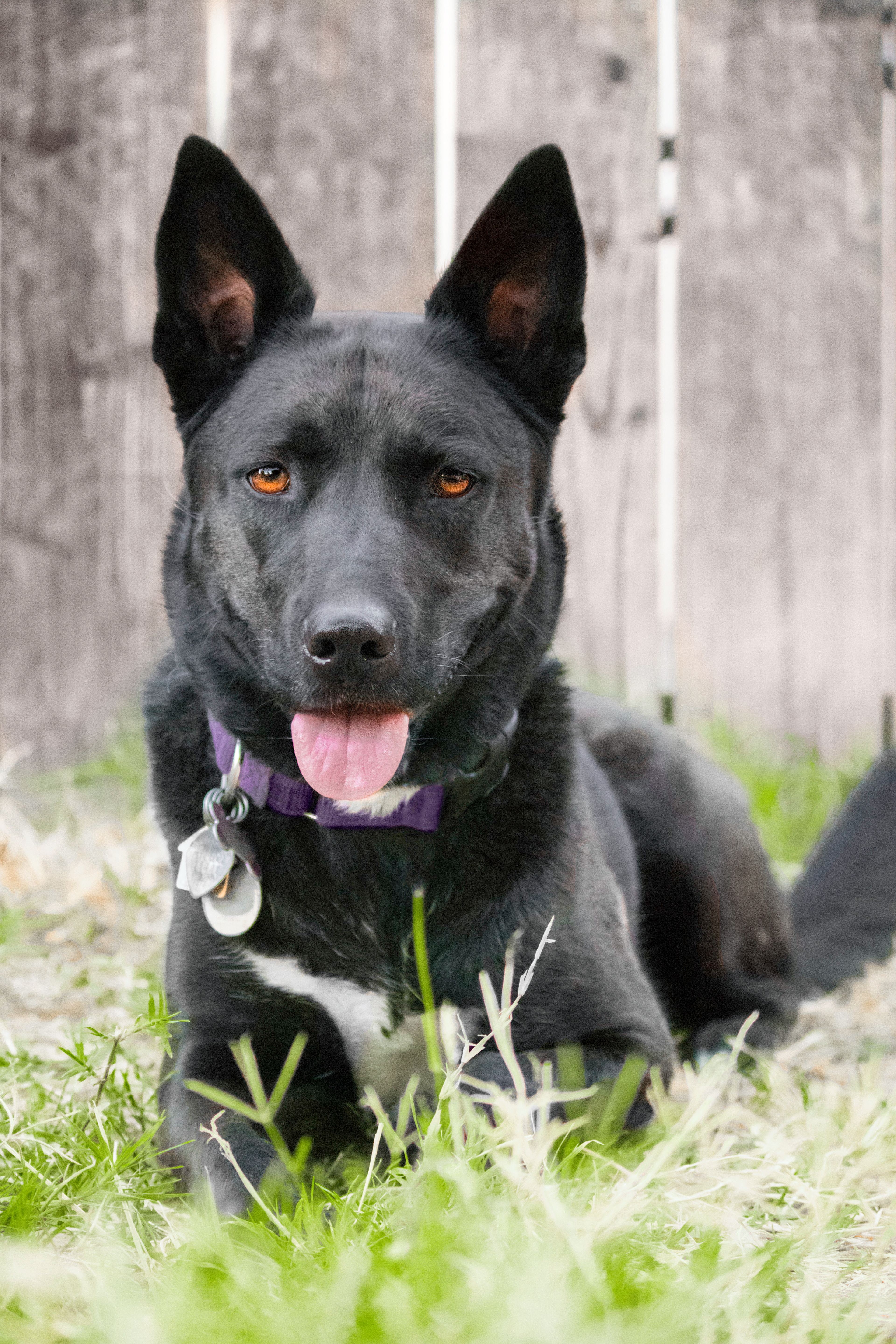 Zina