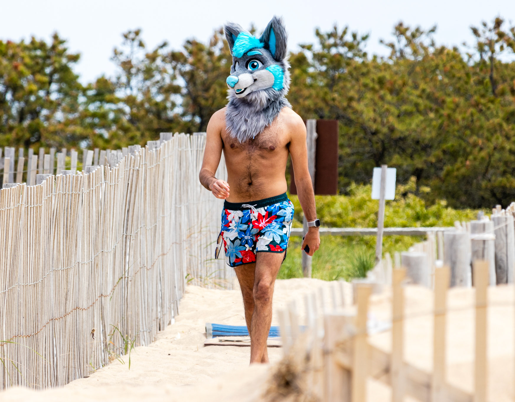 PHOTOS.KOTA.DOG 202105 Provincetown