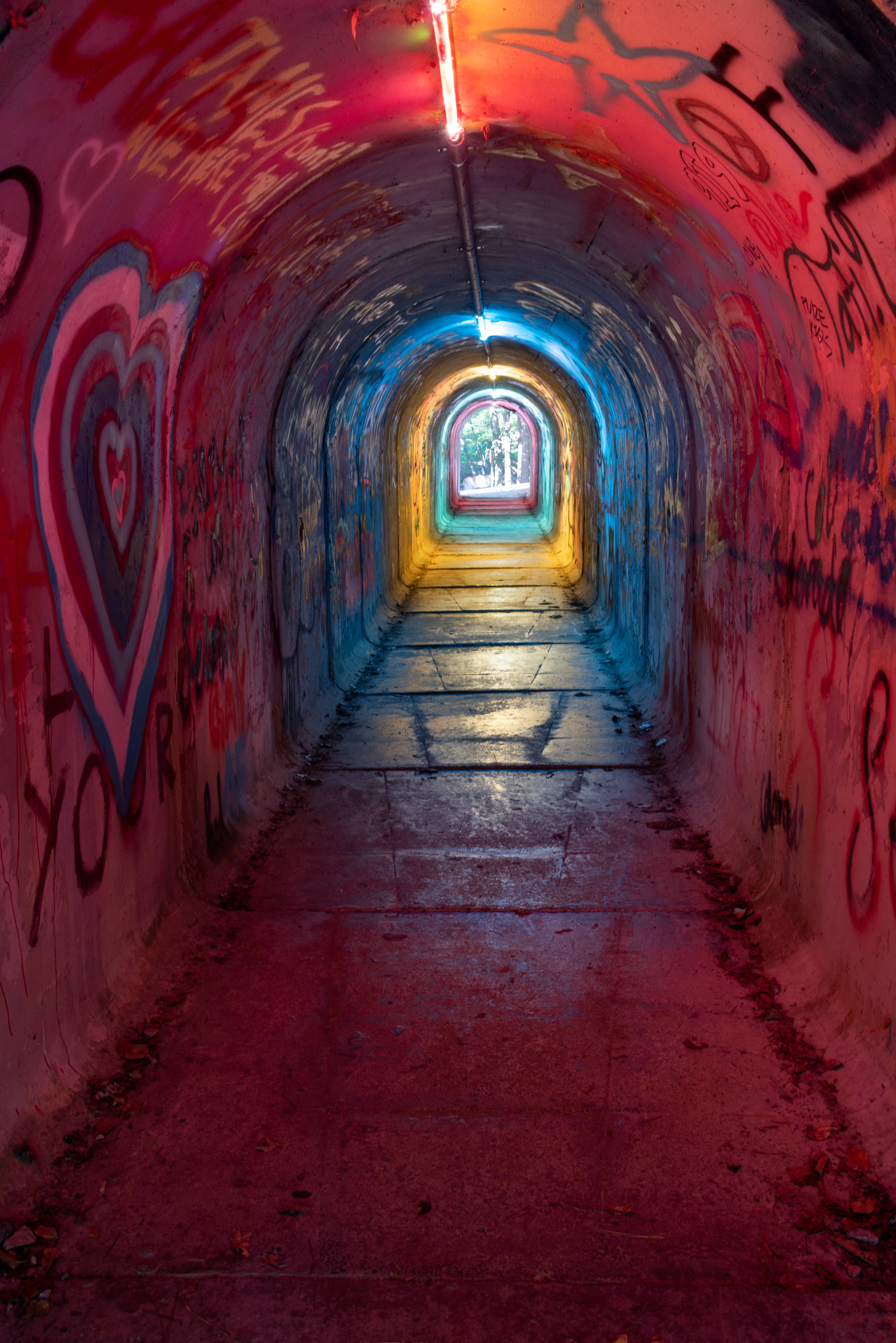 Shelly Lake Greenway