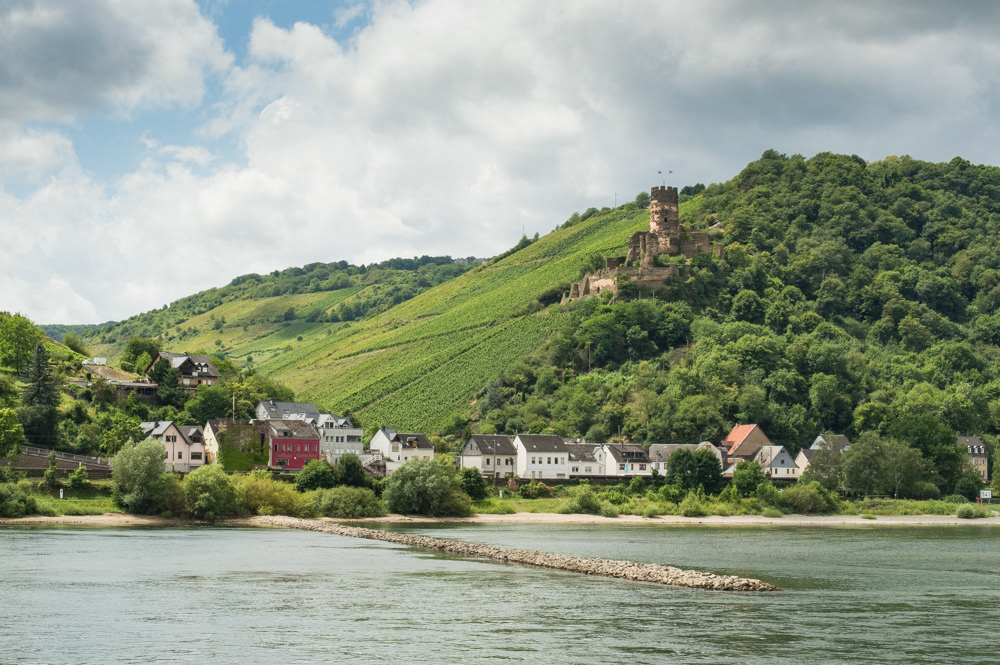 Along the Danube