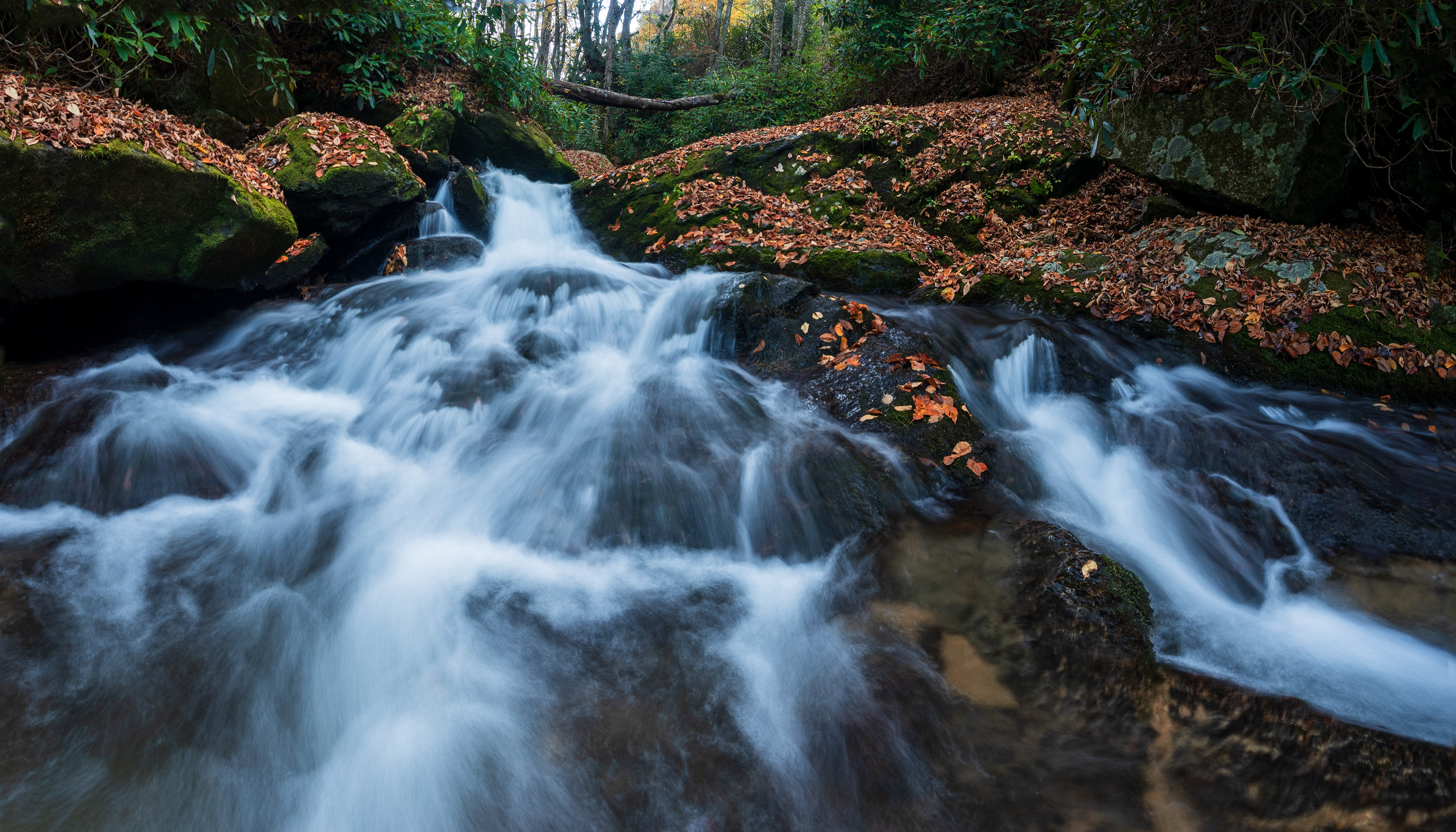Goshen Creek