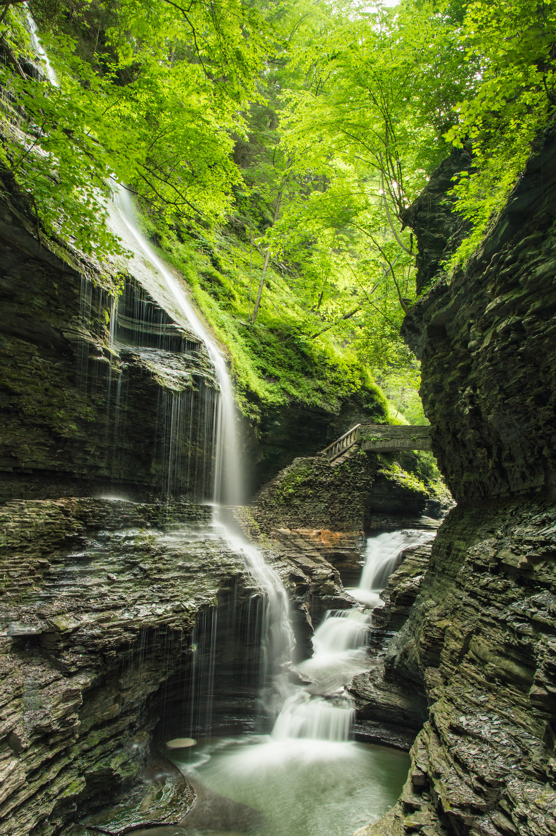 Watkins Glen