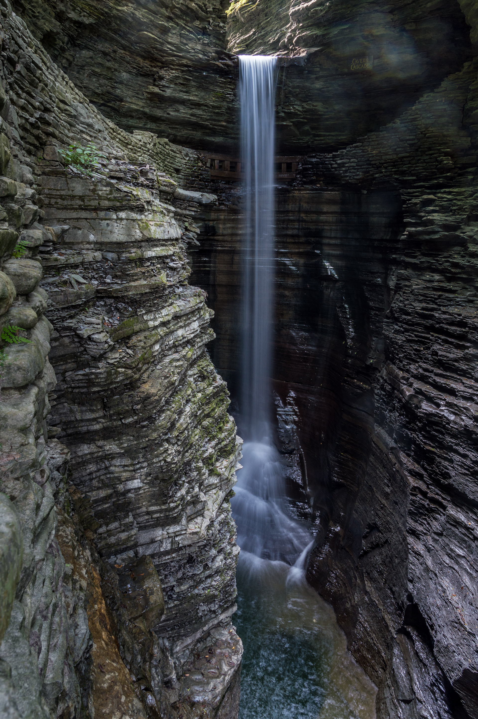 Watkins Glen