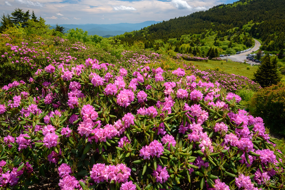 Carvers Gap