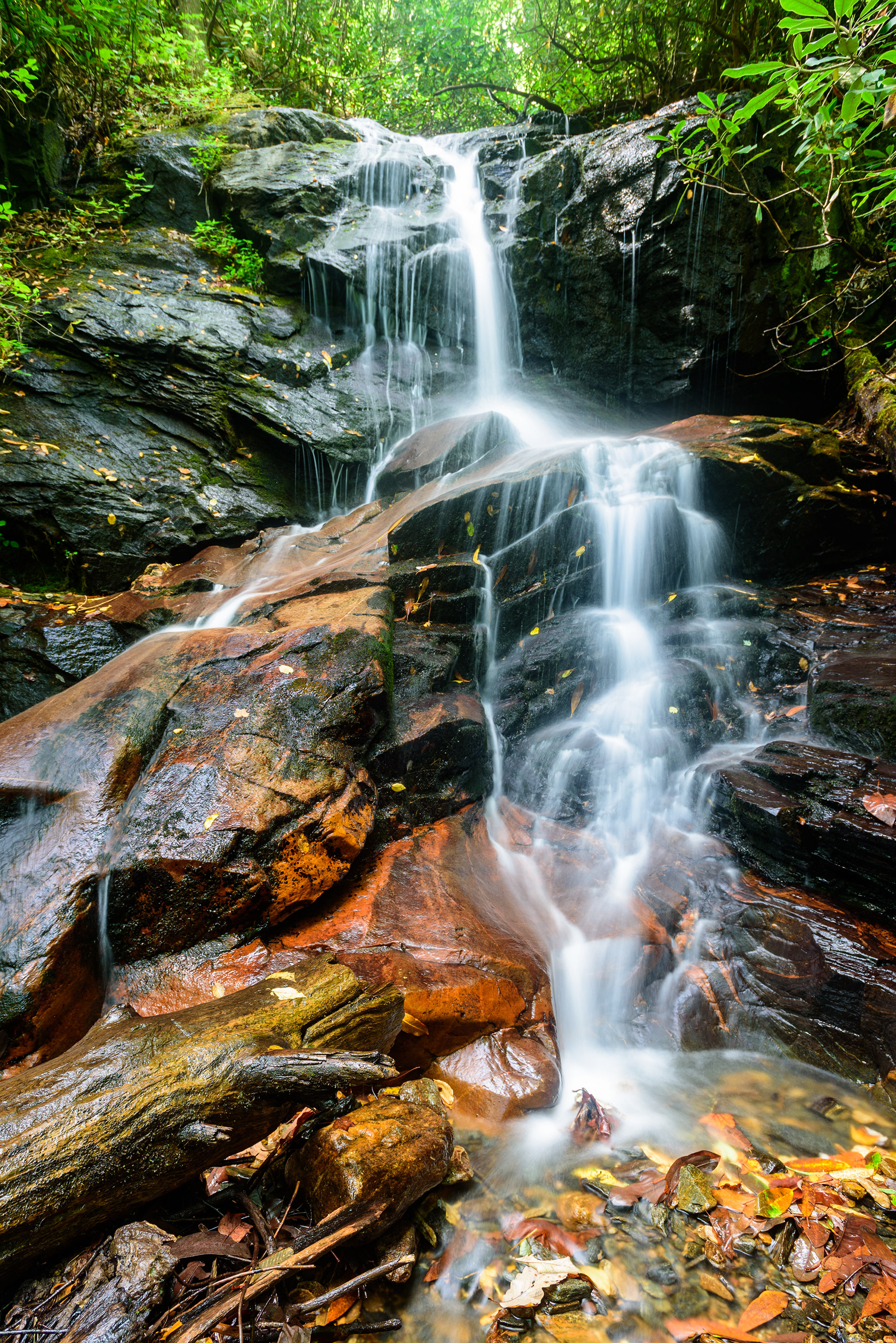 Log Hollow Falls