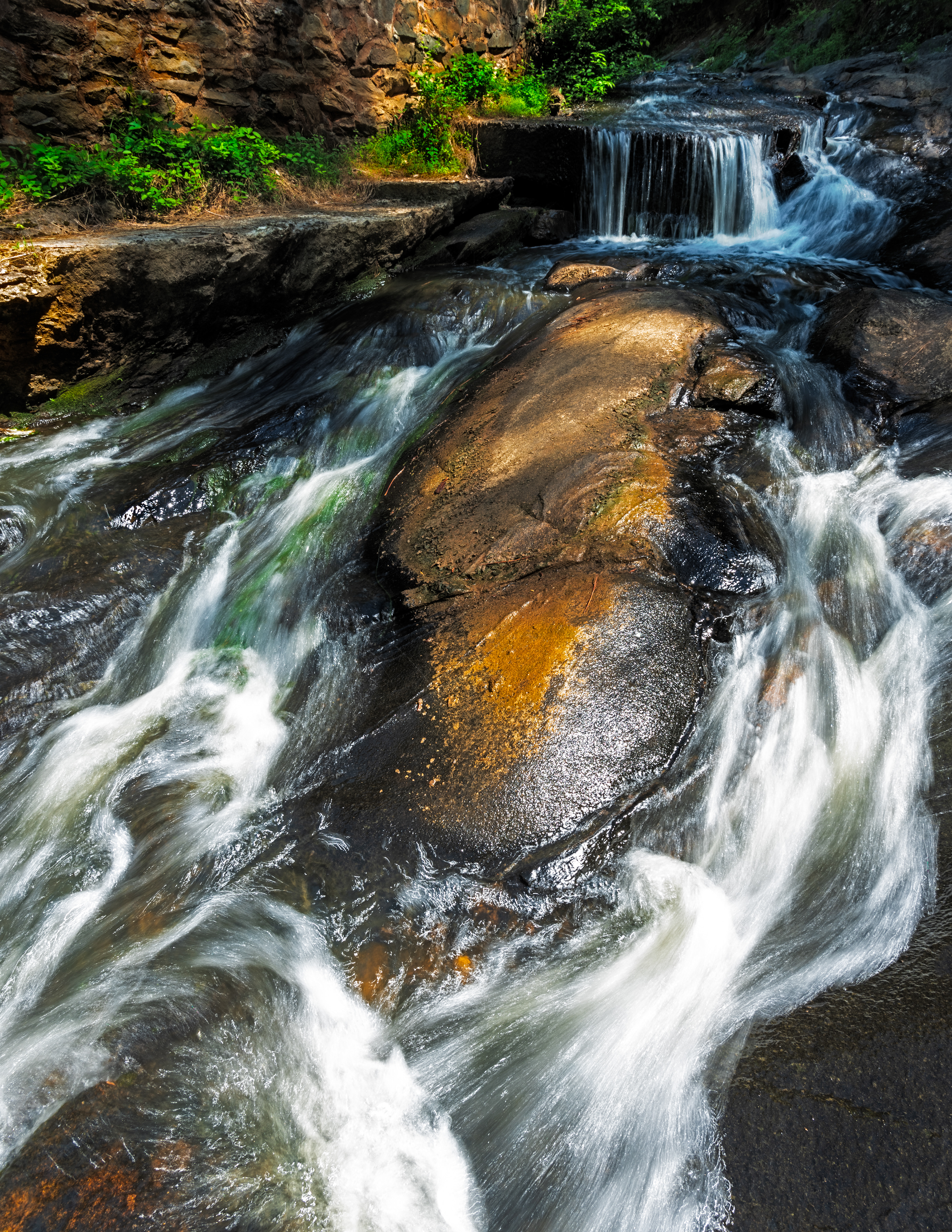 Sycamore Creek