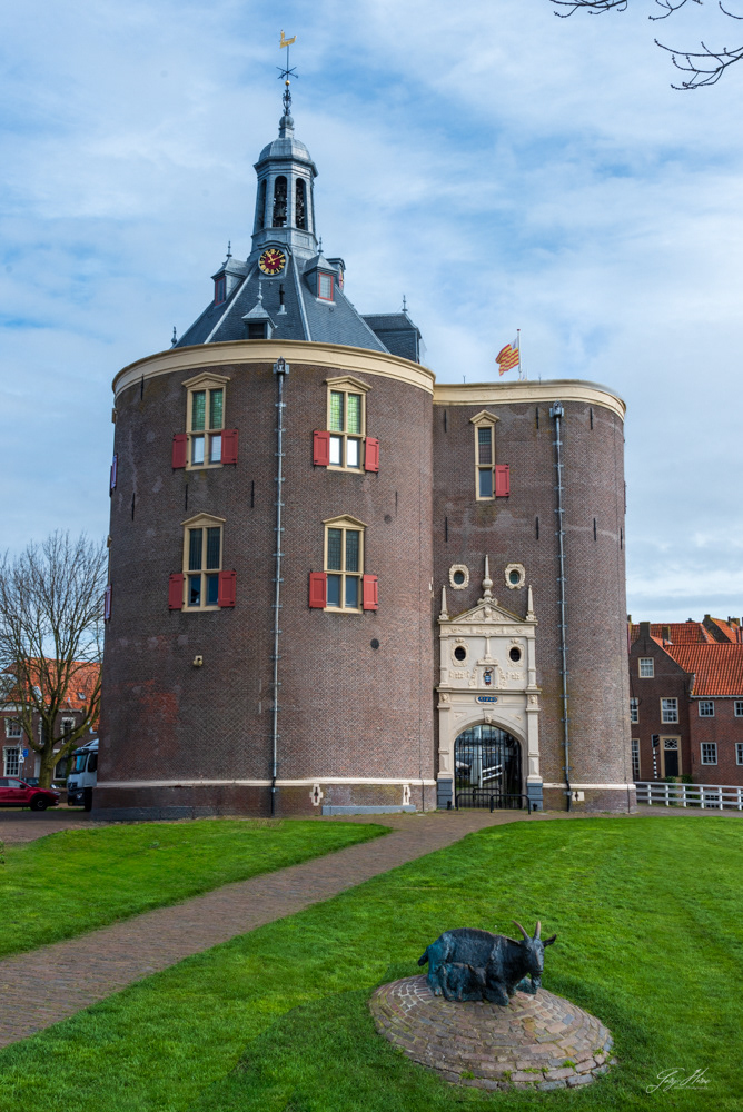 Dromadaire