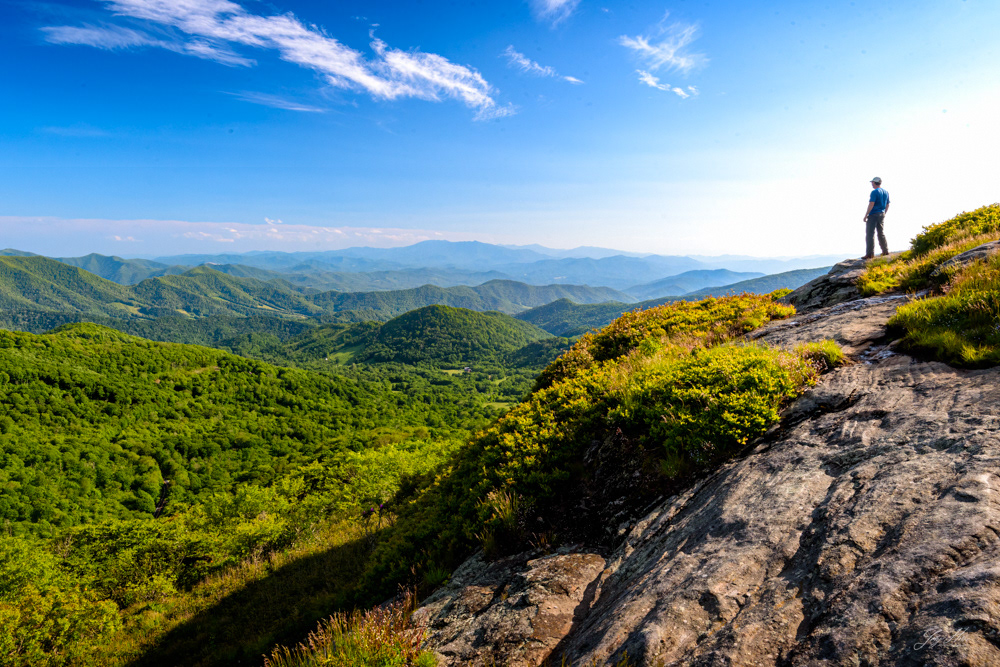 on Jane Bald
