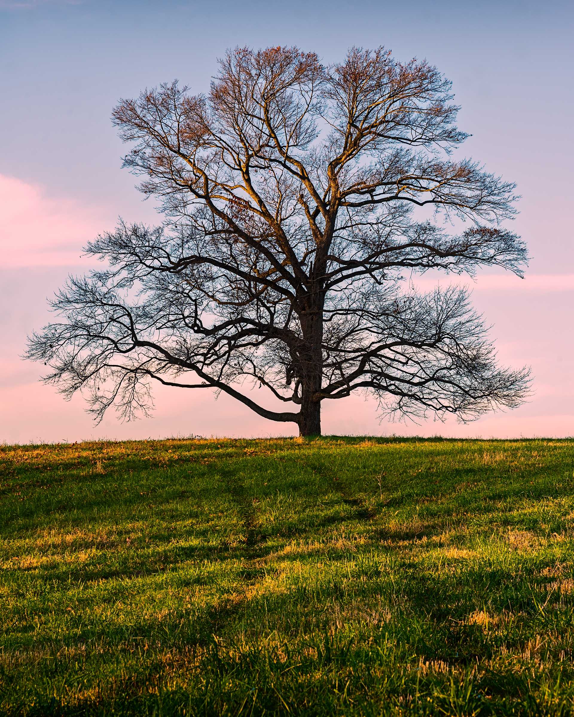 Cheslen Preserve, PA
