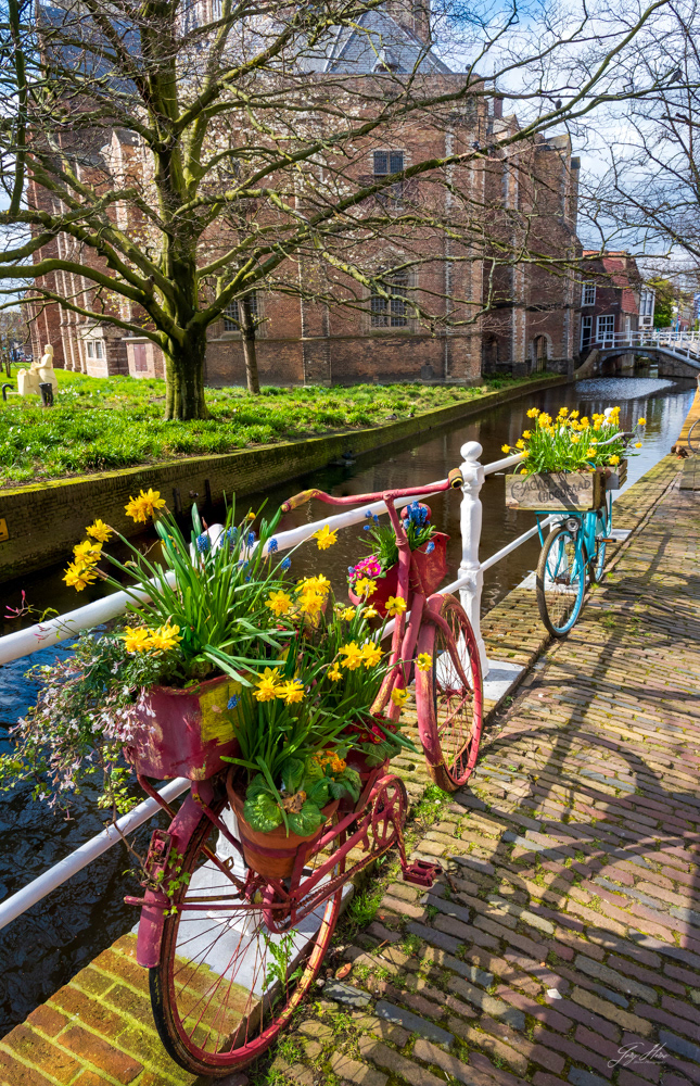 Bicycle Planters