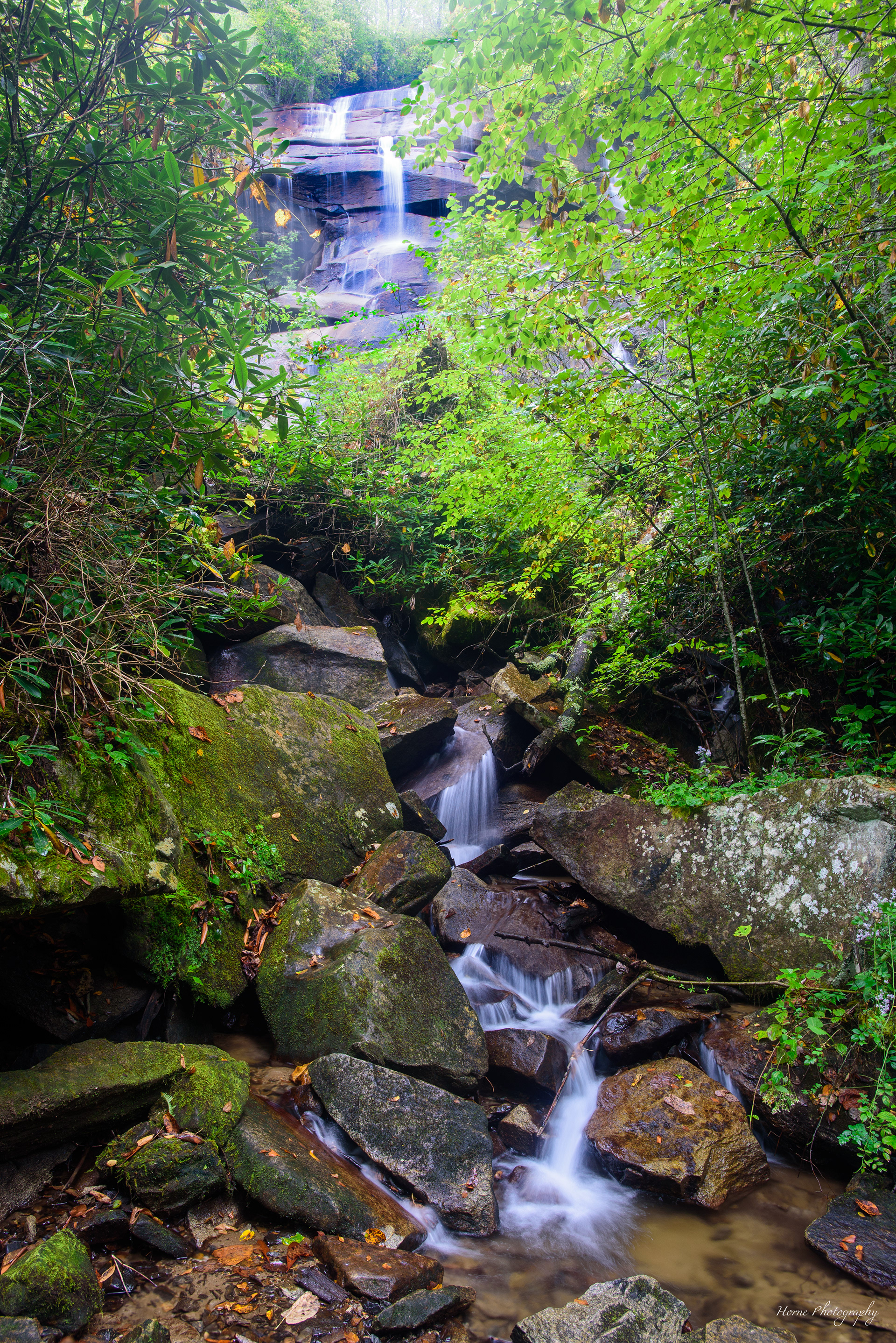 Daniels Ridge Falls
