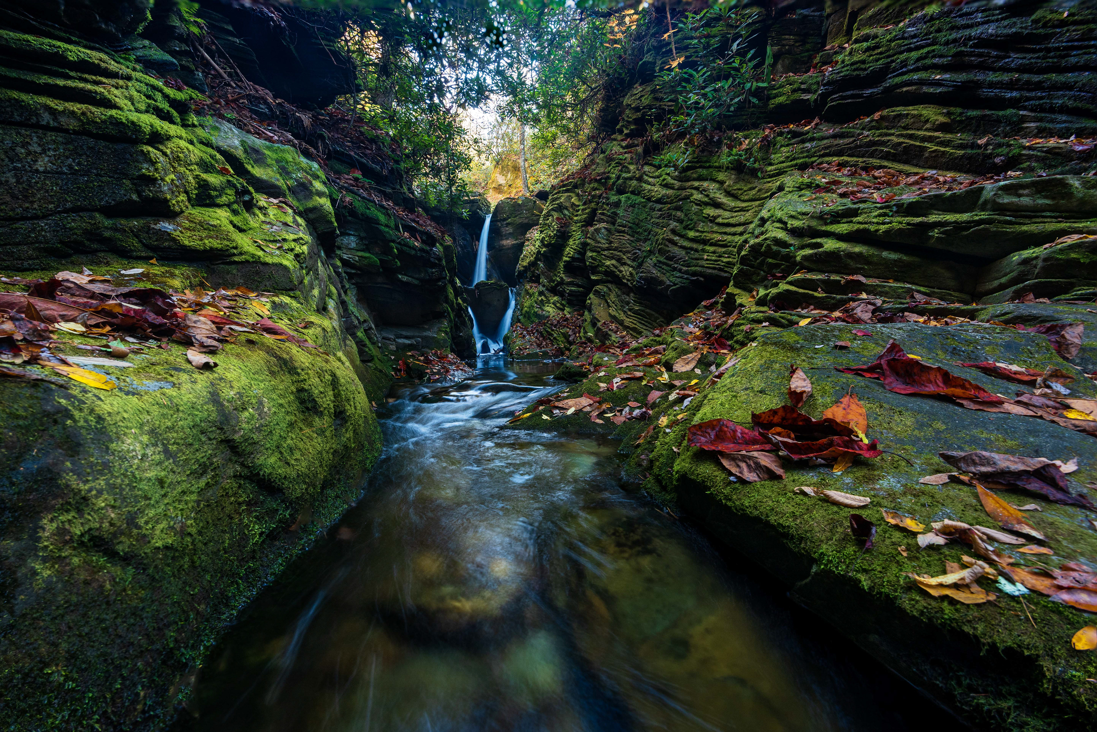 Duggars Falls