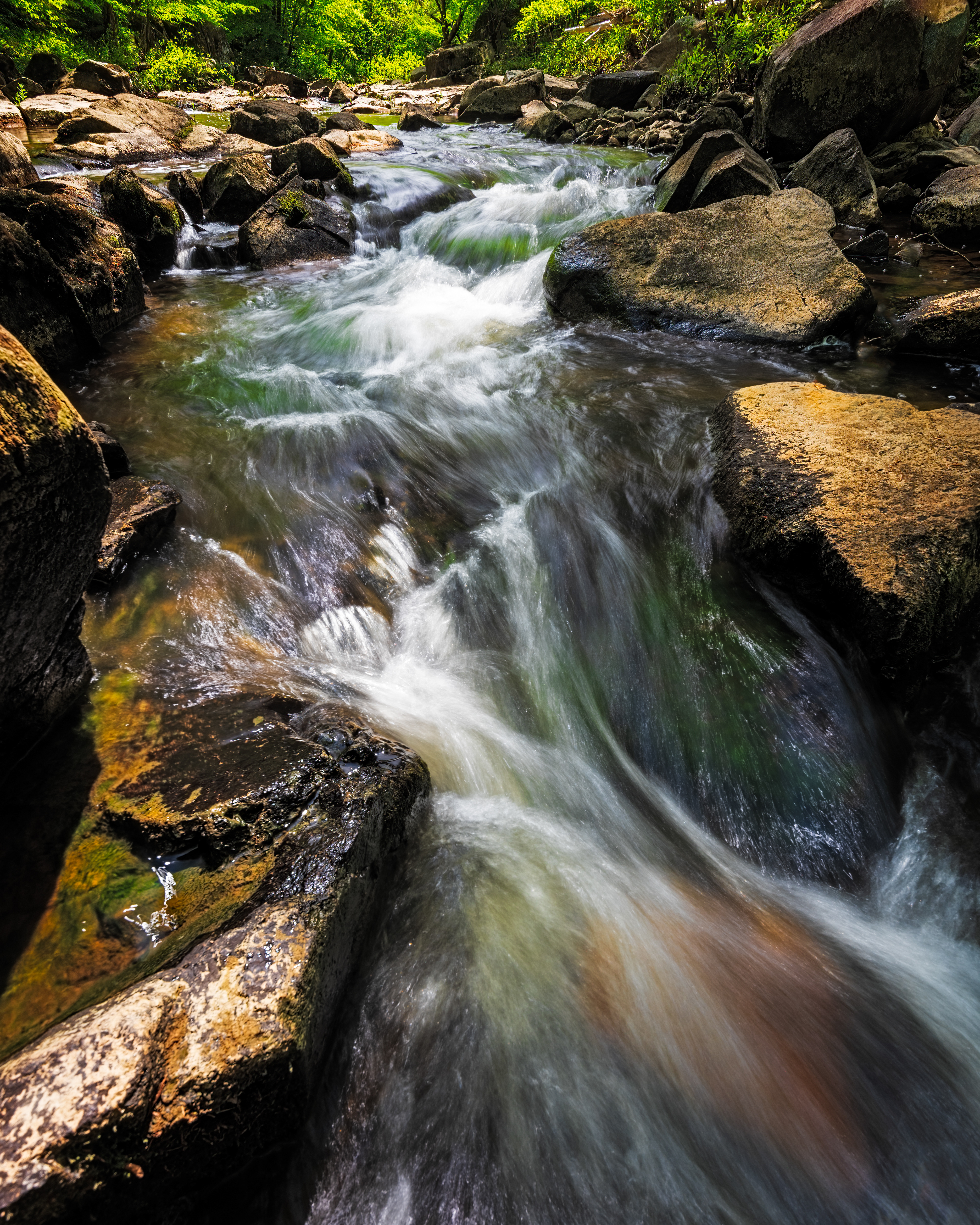 New Hope Creek