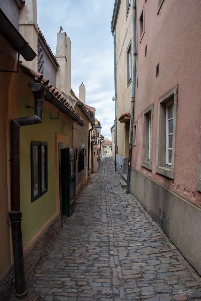 Golden Lane