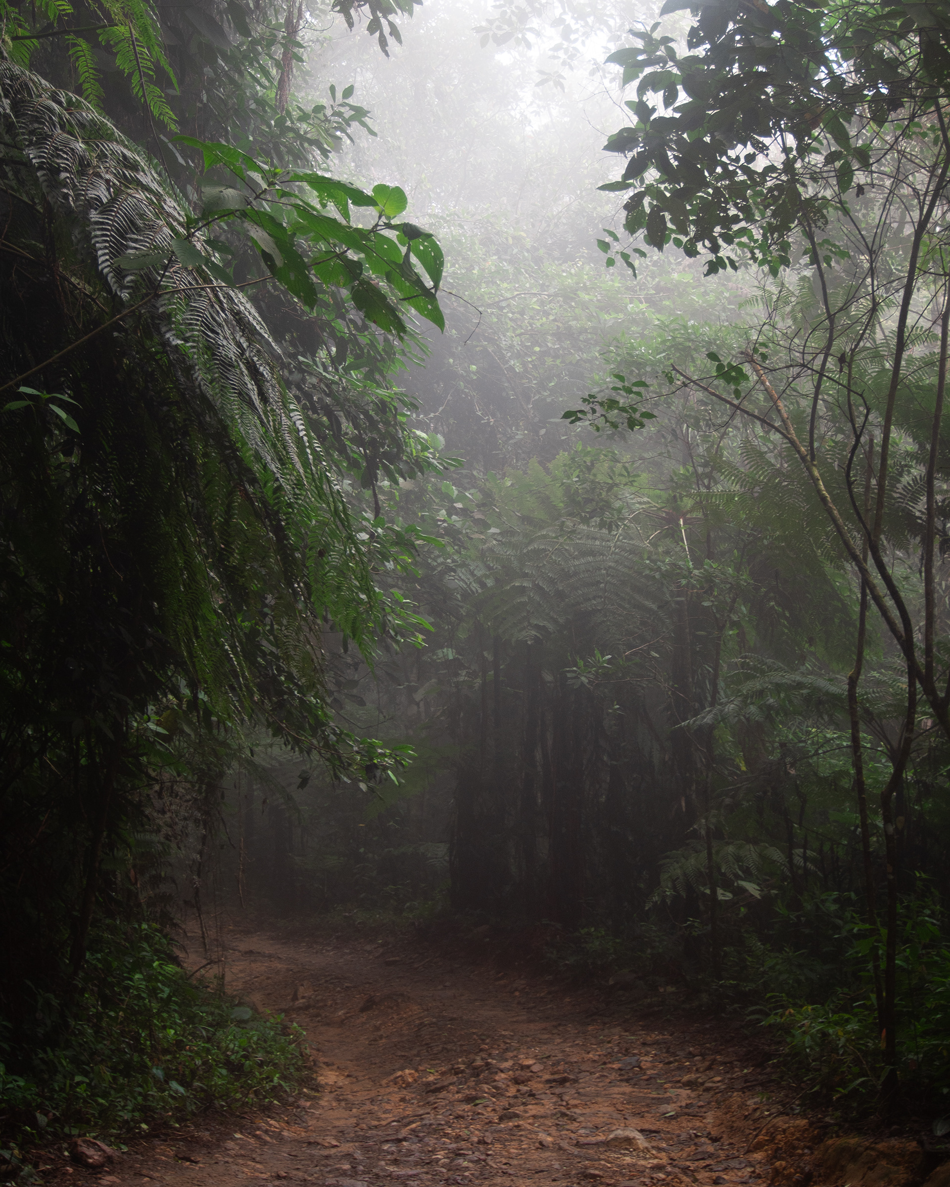 Sierra Nevada, Colombia 2022