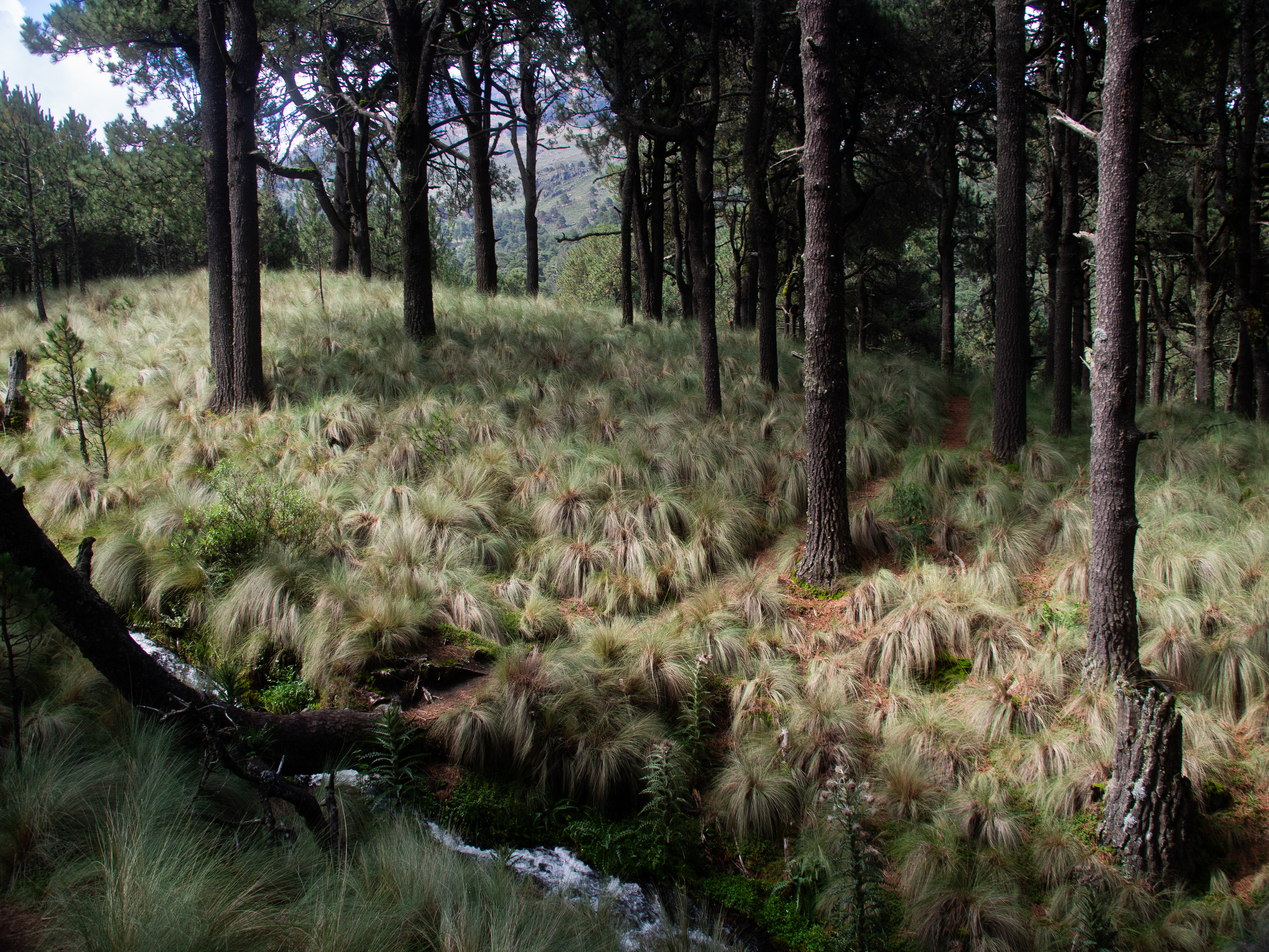 Parque Nacional Izta-Popo, Mexico 2024