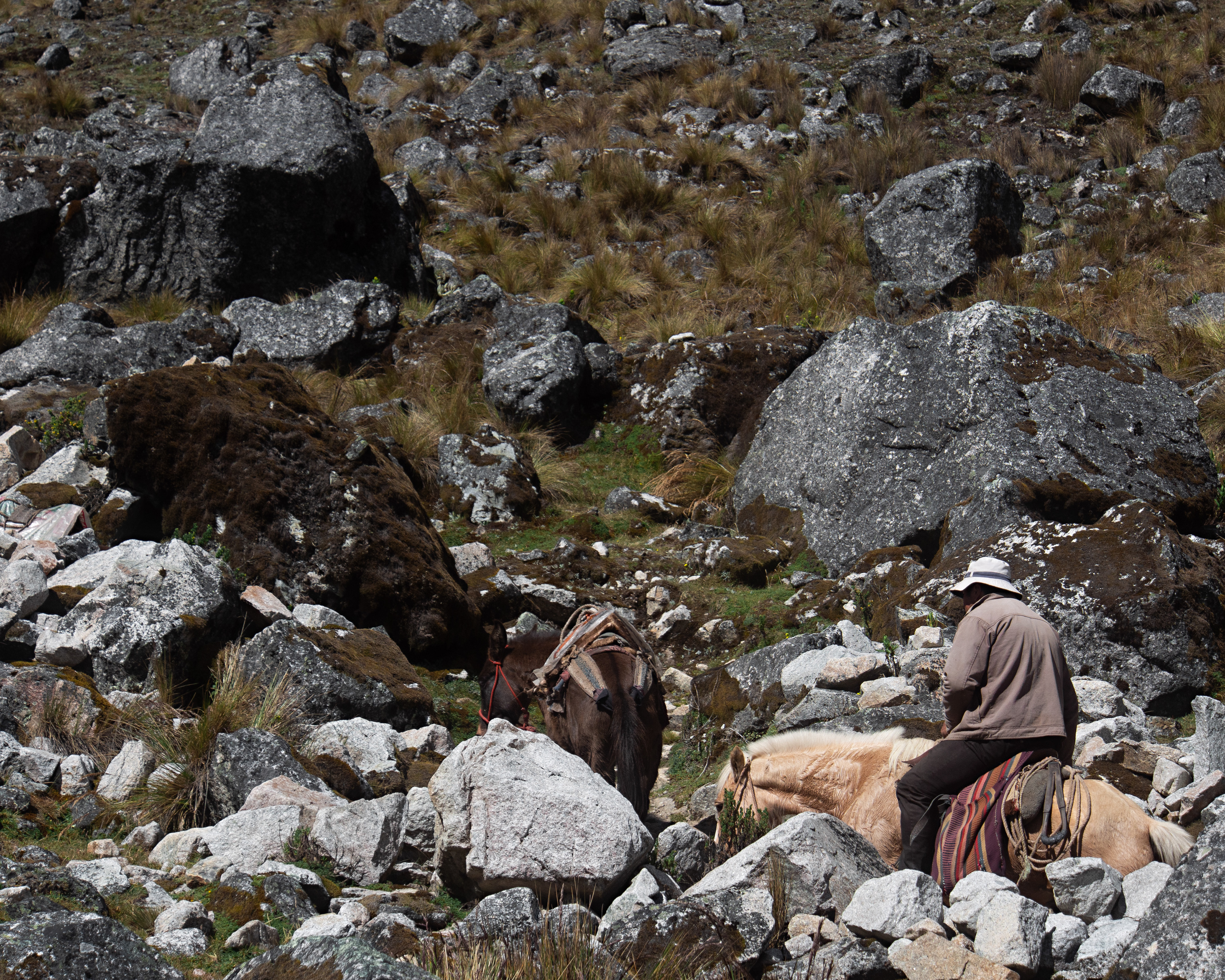 Salkantay Trek, Peru 2023