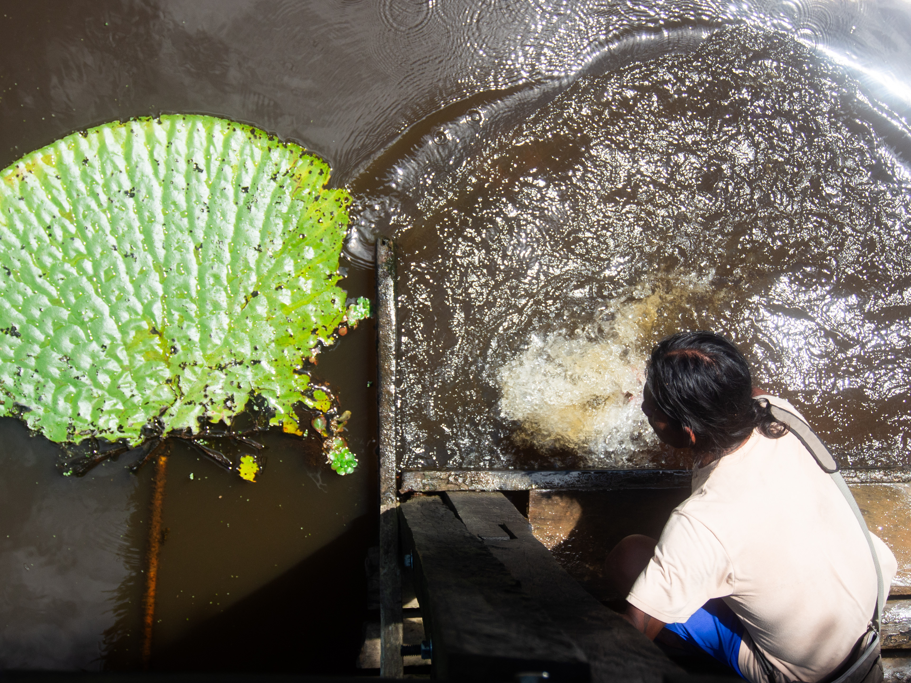 Amazonas, Colombia 2022