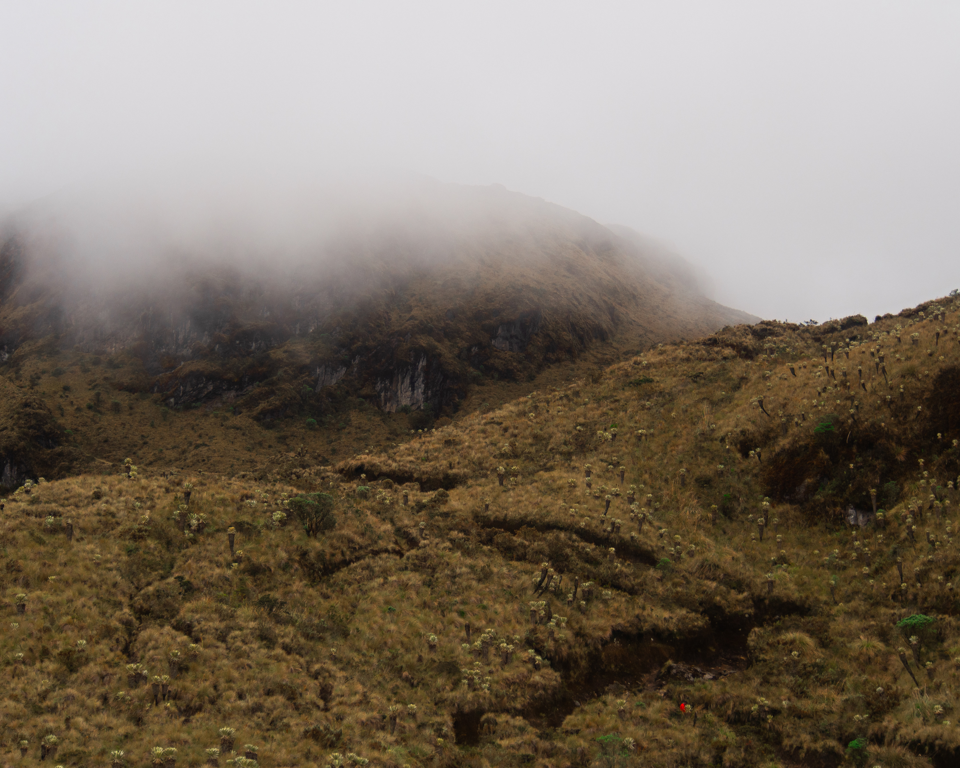 Volcán Cumbal, Colombia 2022