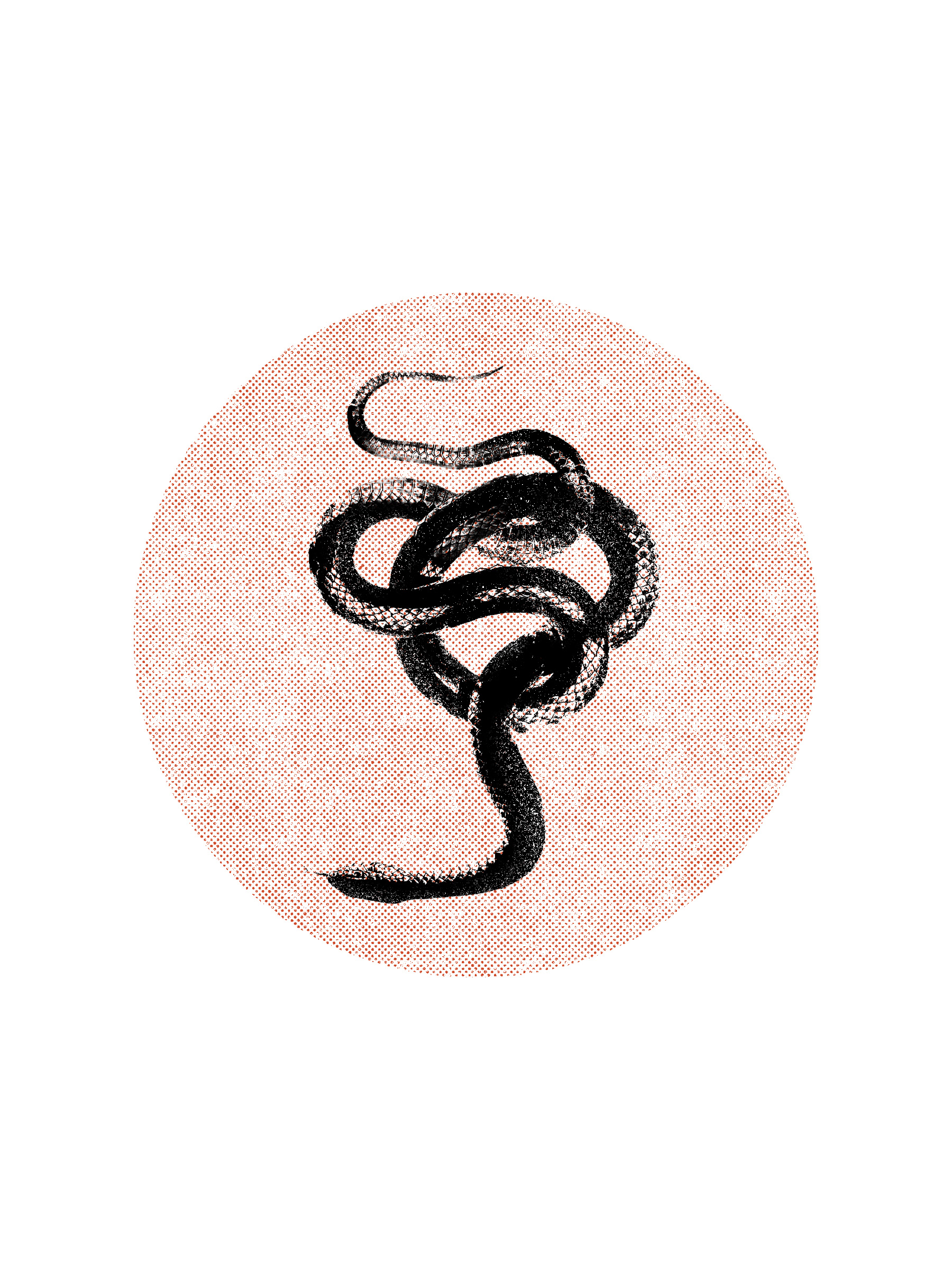 The Snake / 2