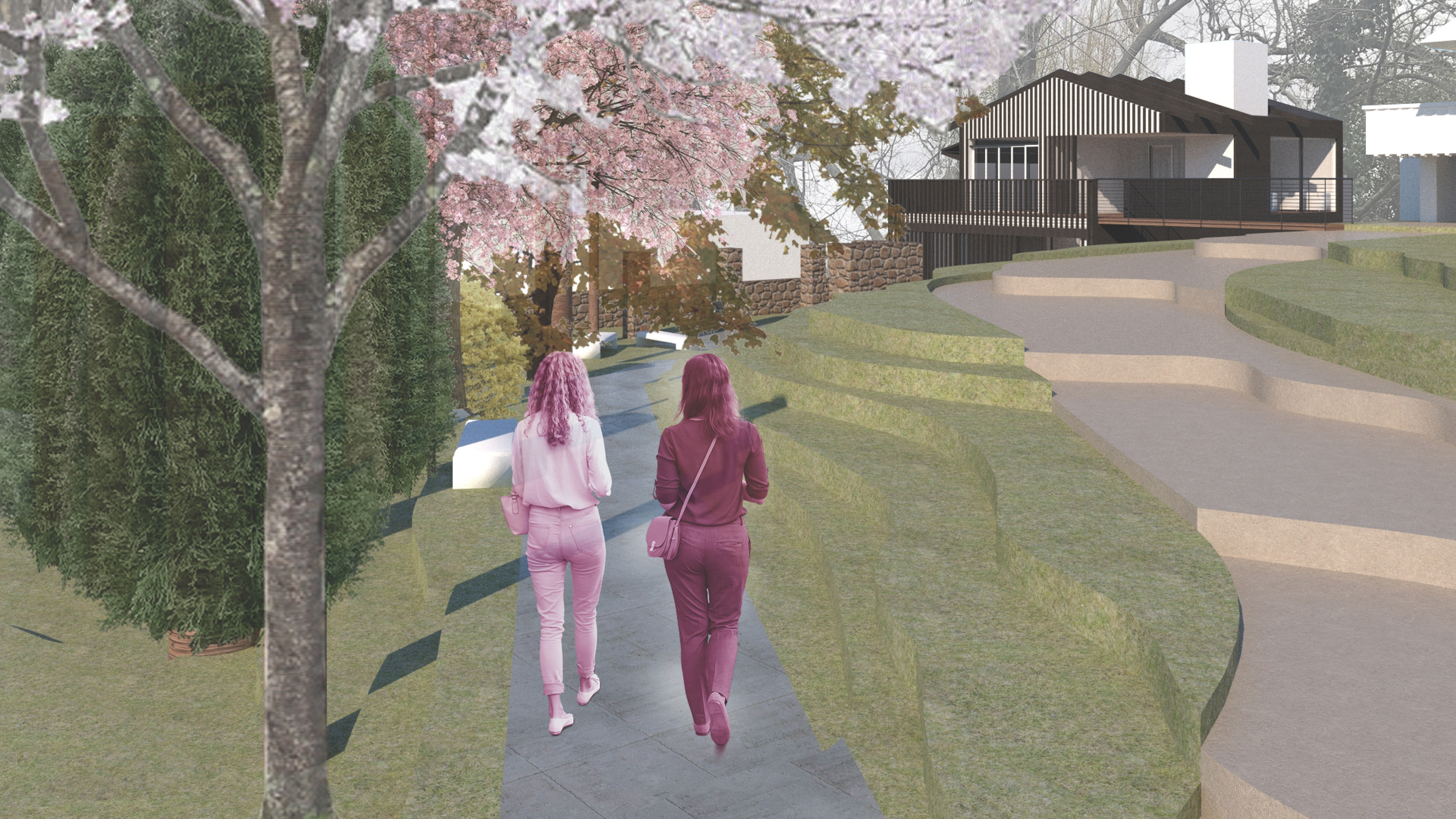 Entry Perspective