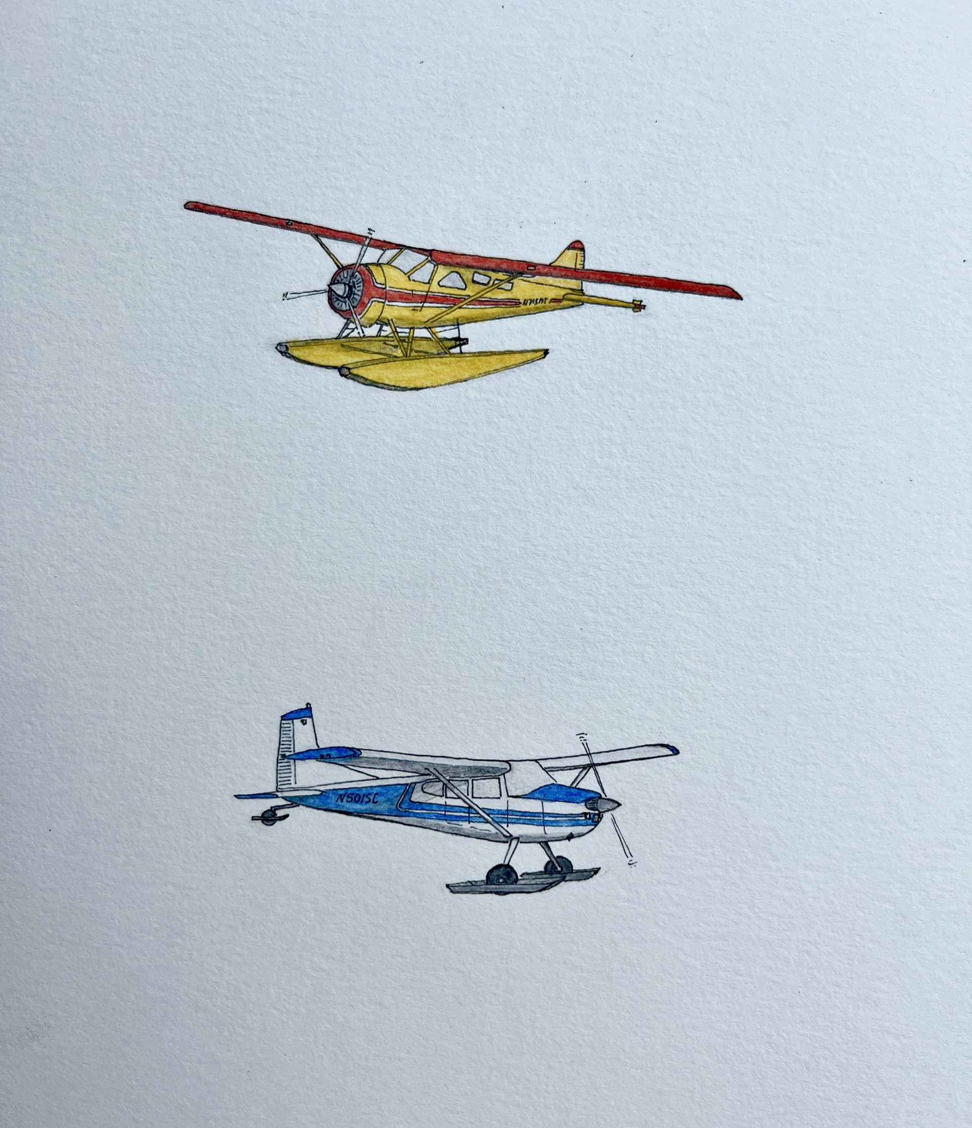 Summer / Winter Bush Planes