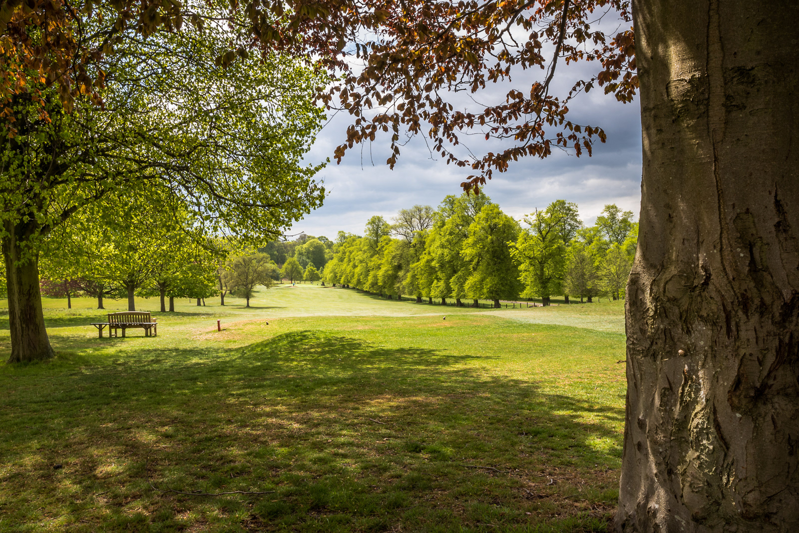 View of the first hole